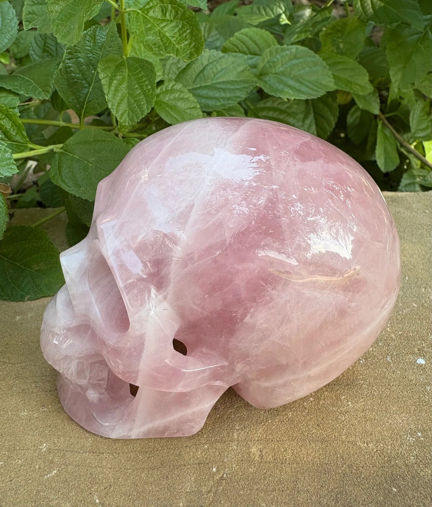 💗 Madagascar Rose Quartz Hollowed  Skull – Smooth Glow, Heart Power & Love | 2.10 lbs.