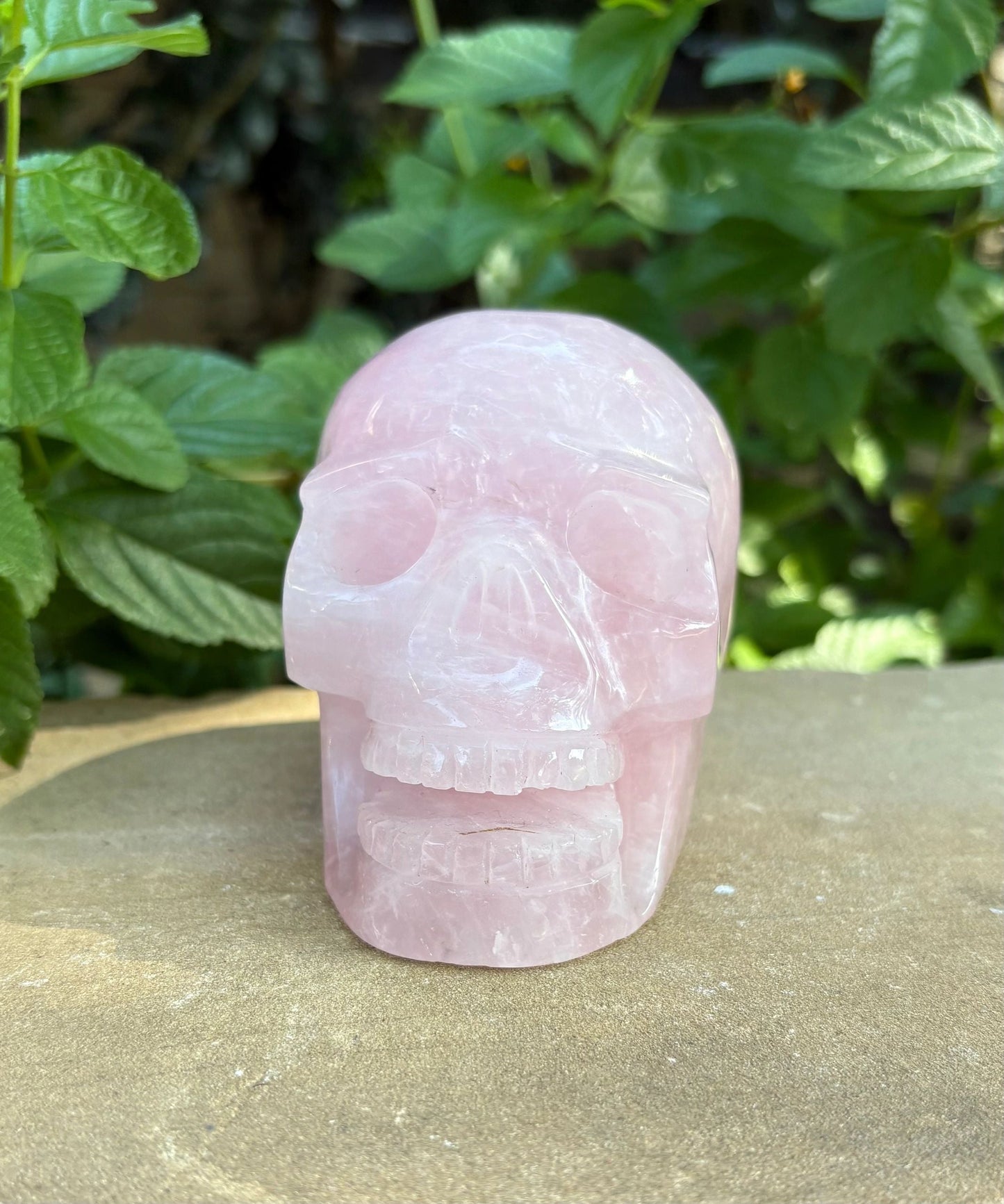 💗 Rose Quartz Skull with Open Mouth – Love, Compassion & Heart Glow | 2.09 lbs.