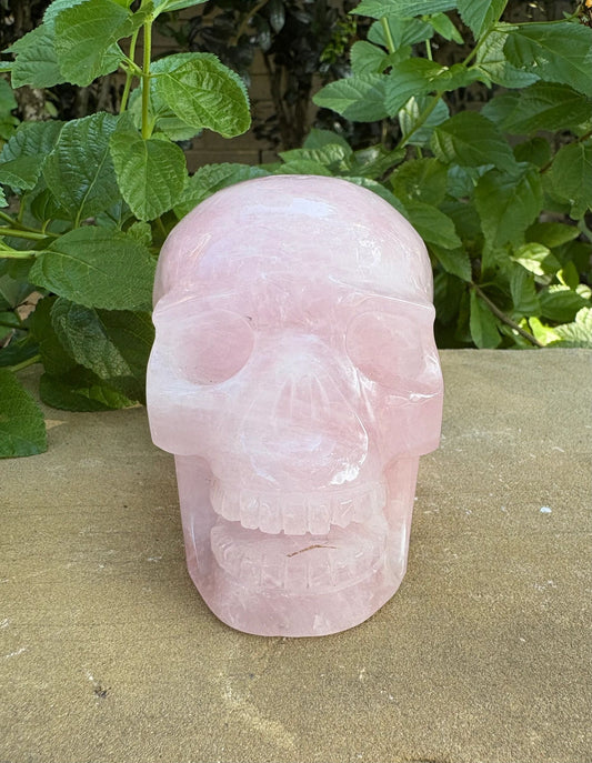 💗 Rose Quartz Skull with Open Mouth – Love, Compassion & Heart Glow | 2.09 lbs.