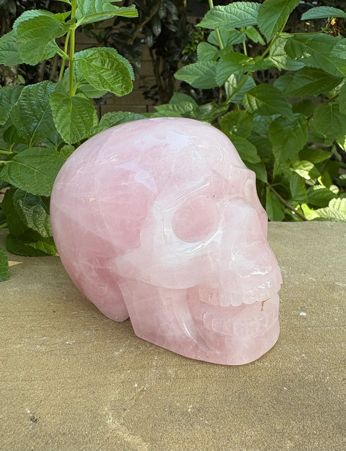 💗 Rose Quartz Skull with Open Mouth – Love, Compassion & Heart Glow | 2.09 lbs.