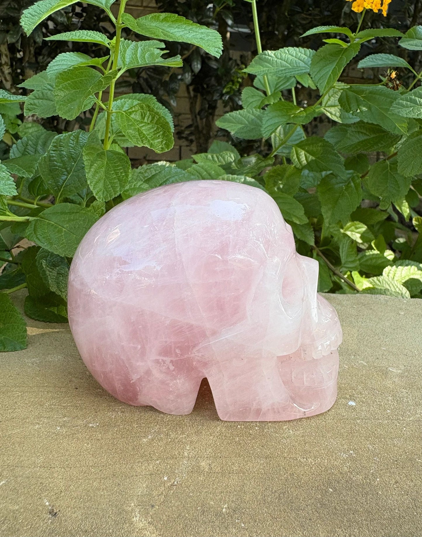 💗 Rose Quartz Skull with Open Mouth – Love, Compassion & Heart Glow | 2.09 lbs.