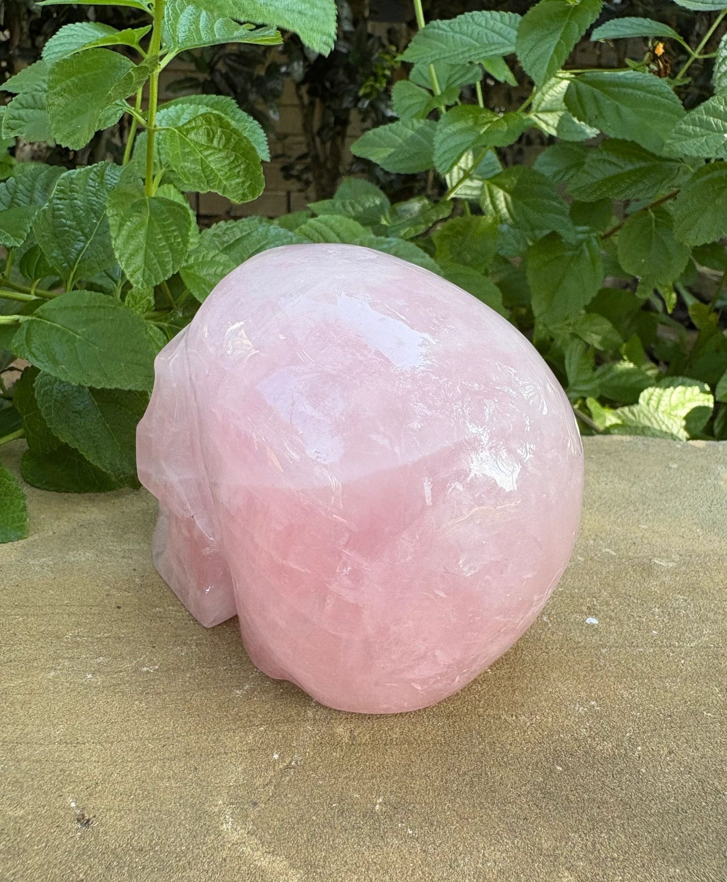 💗 Rose Quartz Skull with Open Mouth – Love, Compassion & Heart Glow | 2.09 lbs.