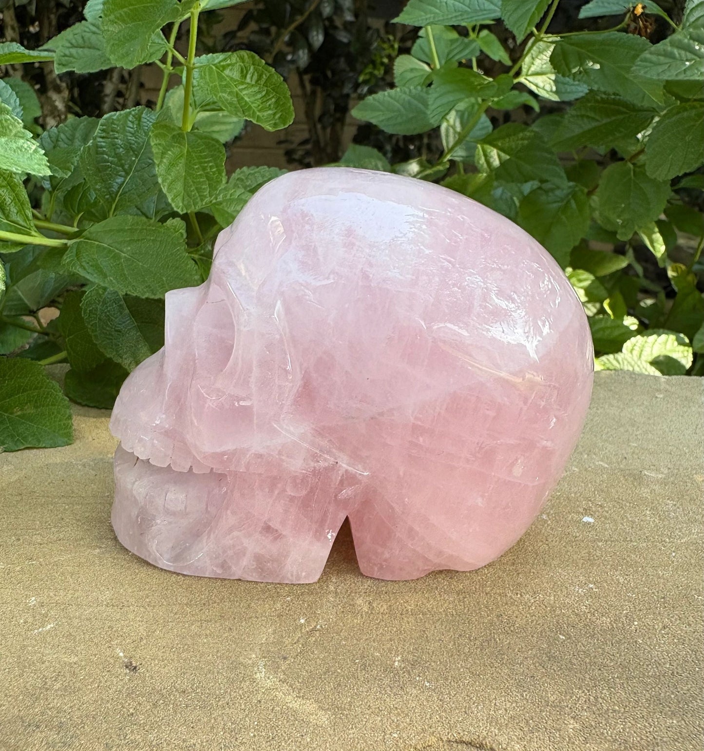 💗 Rose Quartz Skull with Open Mouth – Love, Compassion & Heart Glow | 2.09 lbs.