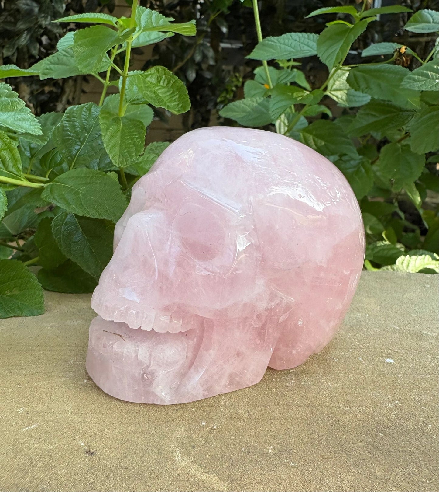 💗 Rose Quartz Skull with Open Mouth – Love, Compassion & Heart Glow | 2.09 lbs.