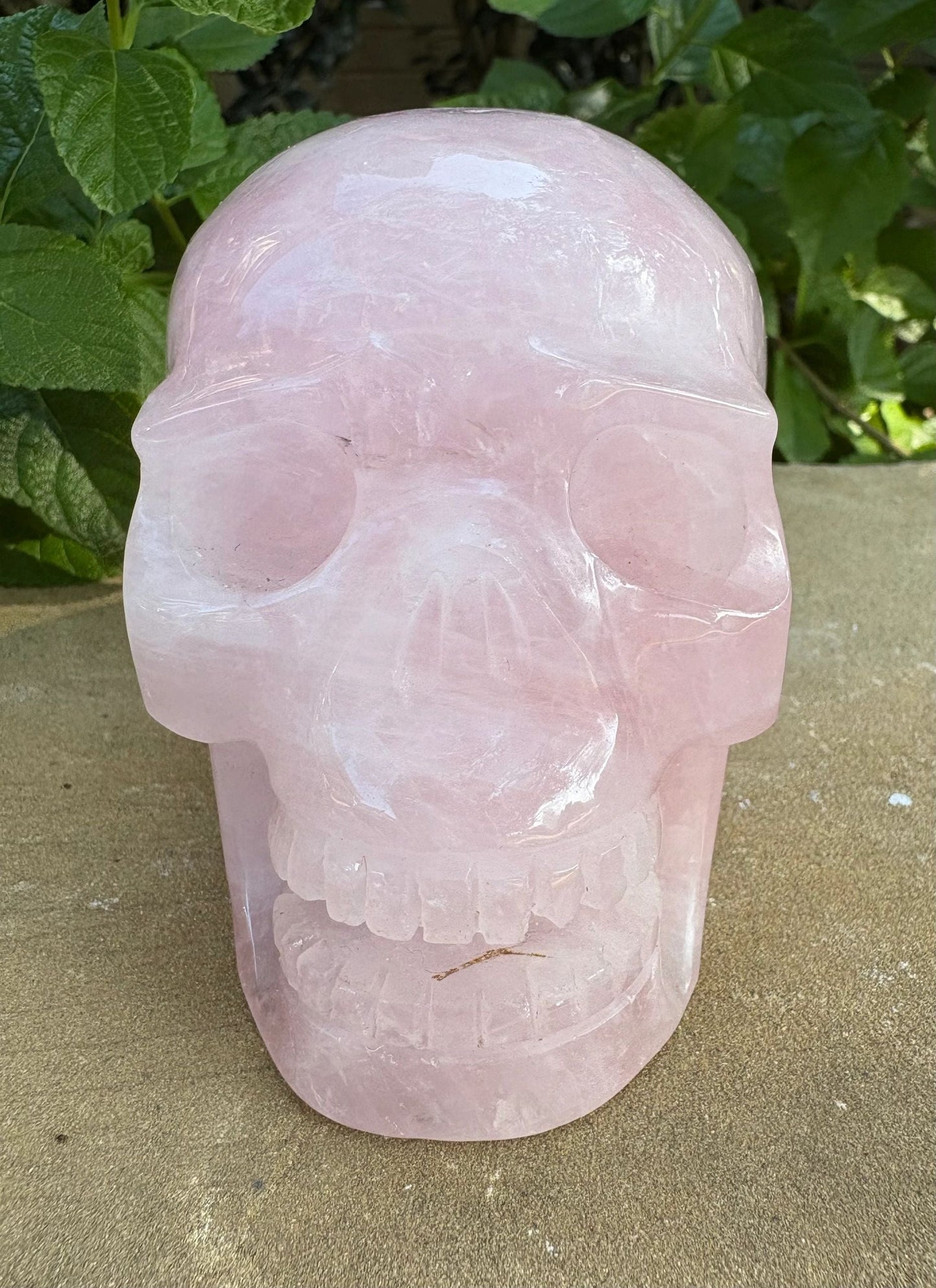 💗 Rose Quartz Skull with Open Mouth – Love, Compassion & Heart Glow | 2.09 lbs.