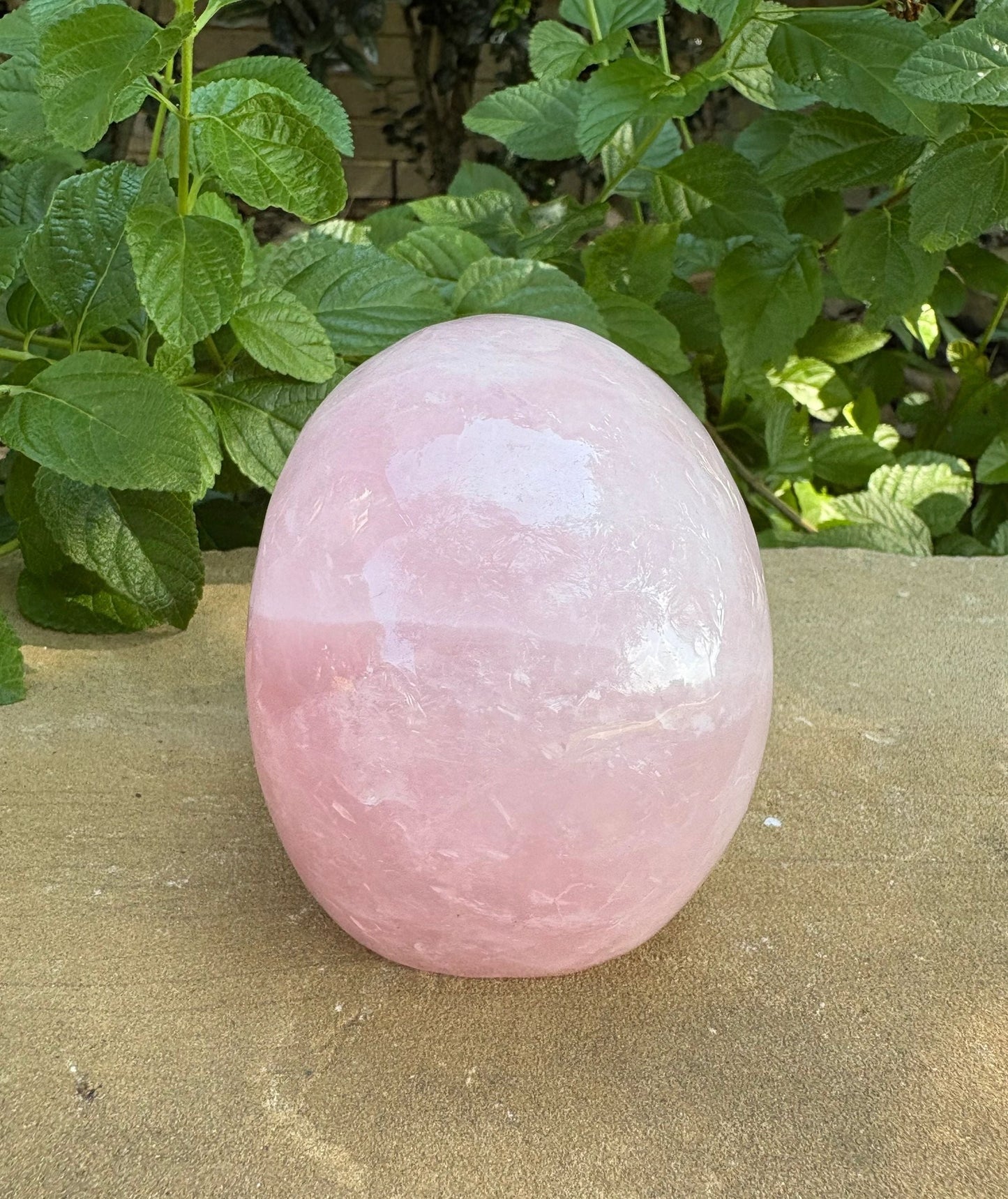 💗 Rose Quartz Skull with Open Mouth – Love, Compassion & Heart Glow | 2.09 lbs.