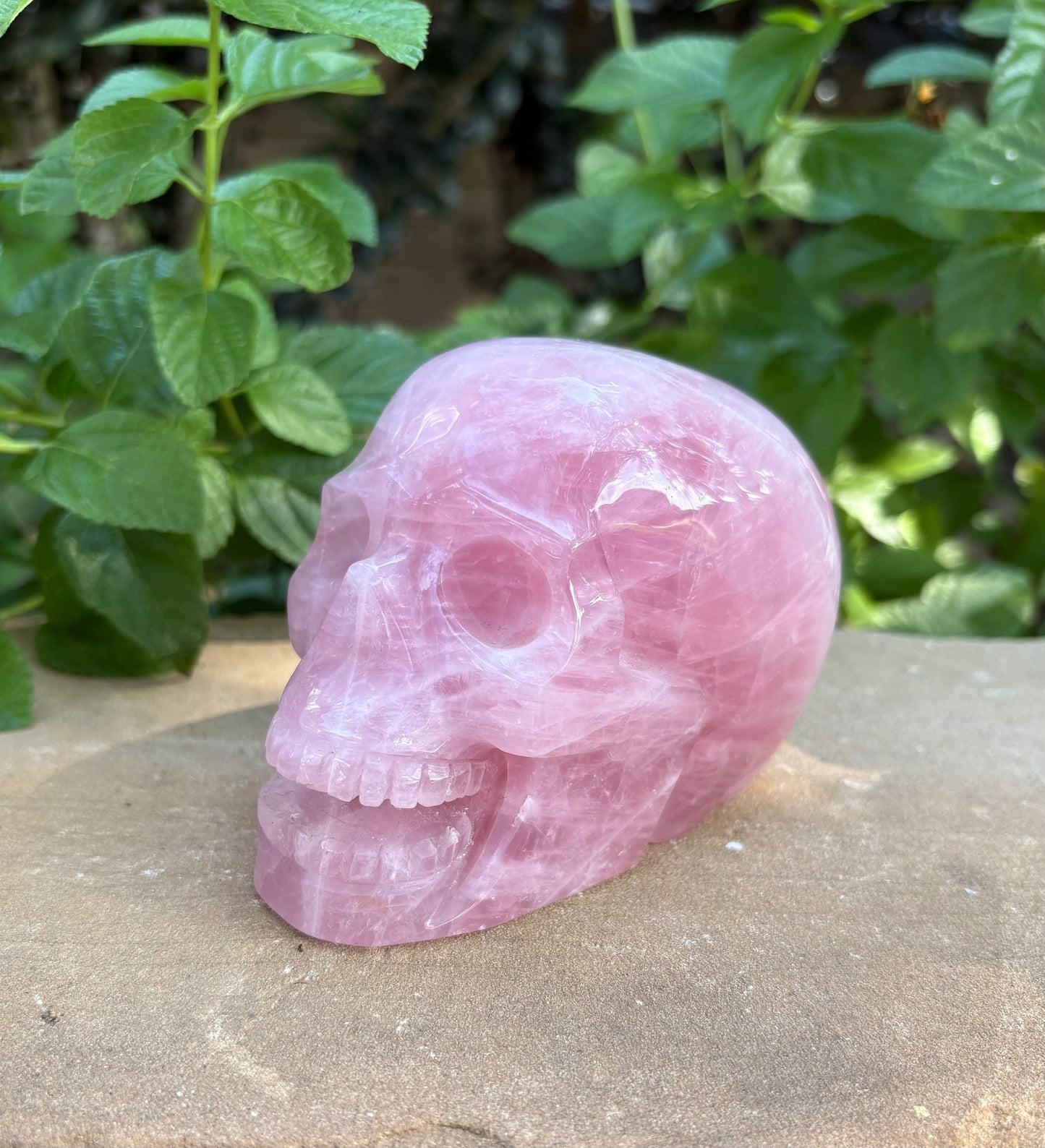 💗 2.28 lbs. Madagascar Rose Quartz Skull – Love, Compassion & Emotional Glow | Love | Harmony | Heart Sass (2)