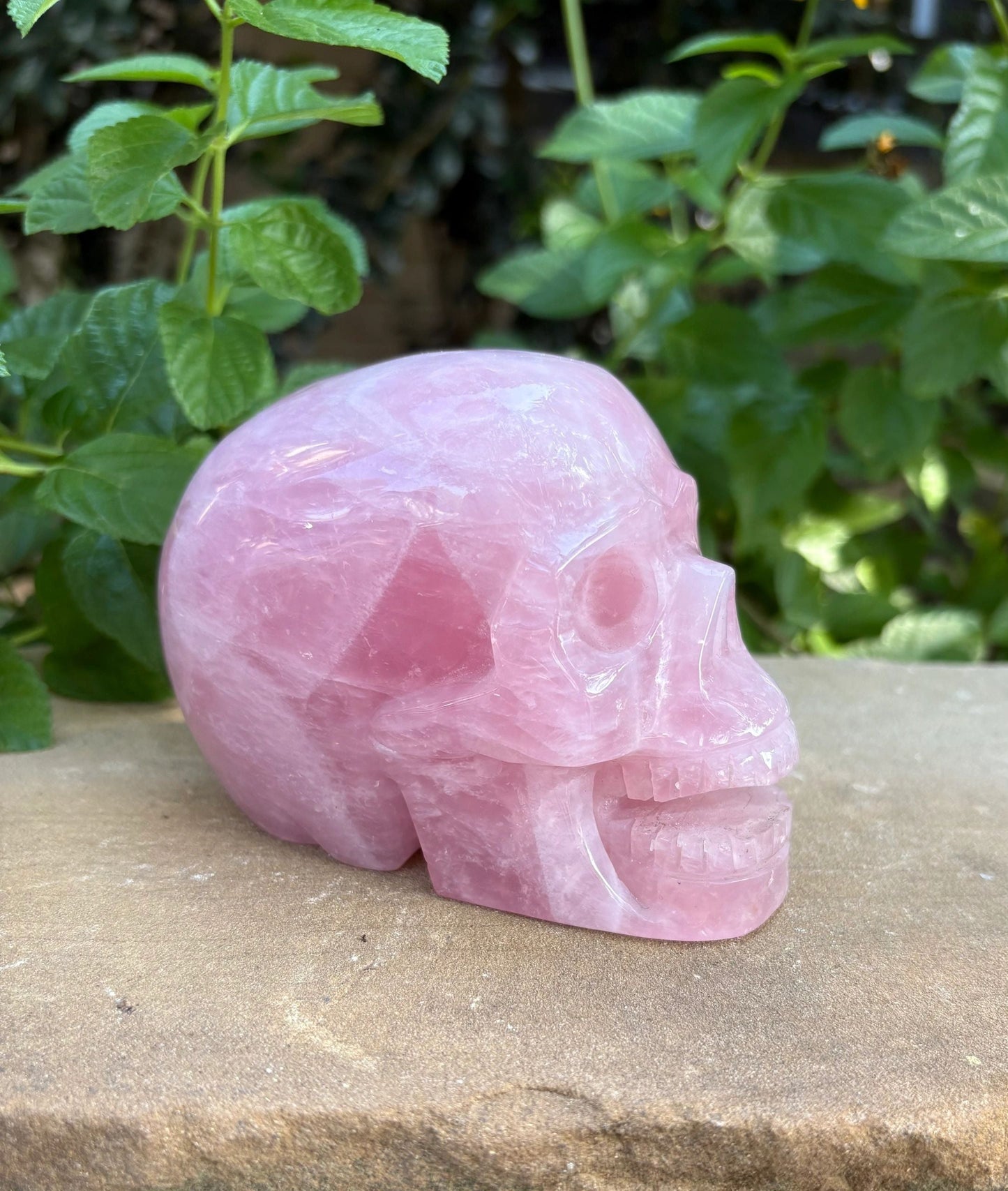 💗 2.28 lbs. Madagascar Rose Quartz Skull – Love, Compassion & Emotional Glow | Love | Harmony | Heart Sass (2)