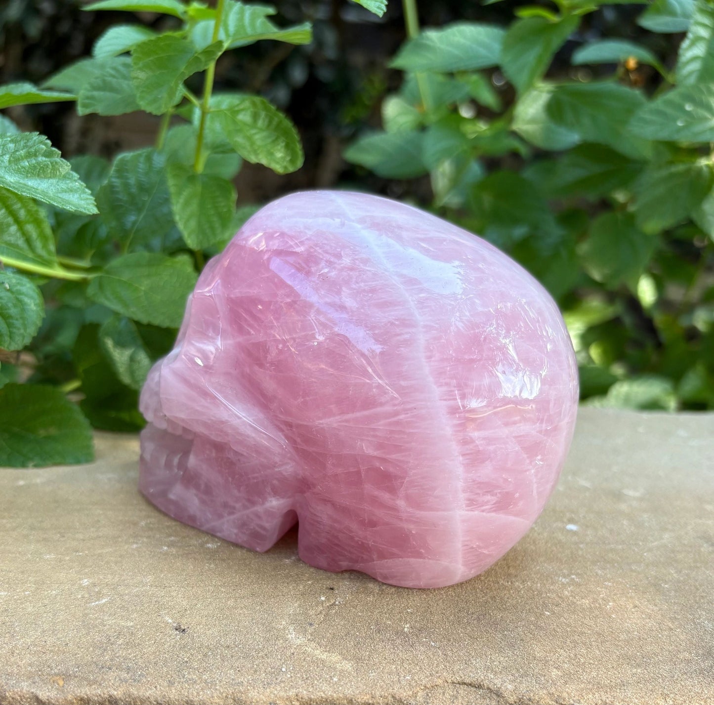 💗 2.28 lbs. Madagascar Rose Quartz Skull – Love, Compassion & Emotional Glow | Love | Harmony | Heart Sass (2)