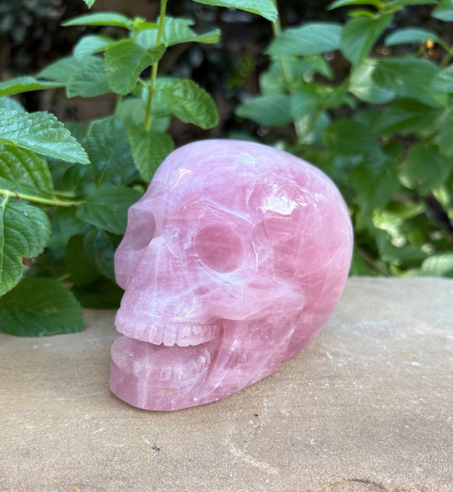 💗 2.28 lbs. Madagascar Rose Quartz Skull – Love, Compassion & Emotional Glow | Love | Harmony | Heart Sass (2)