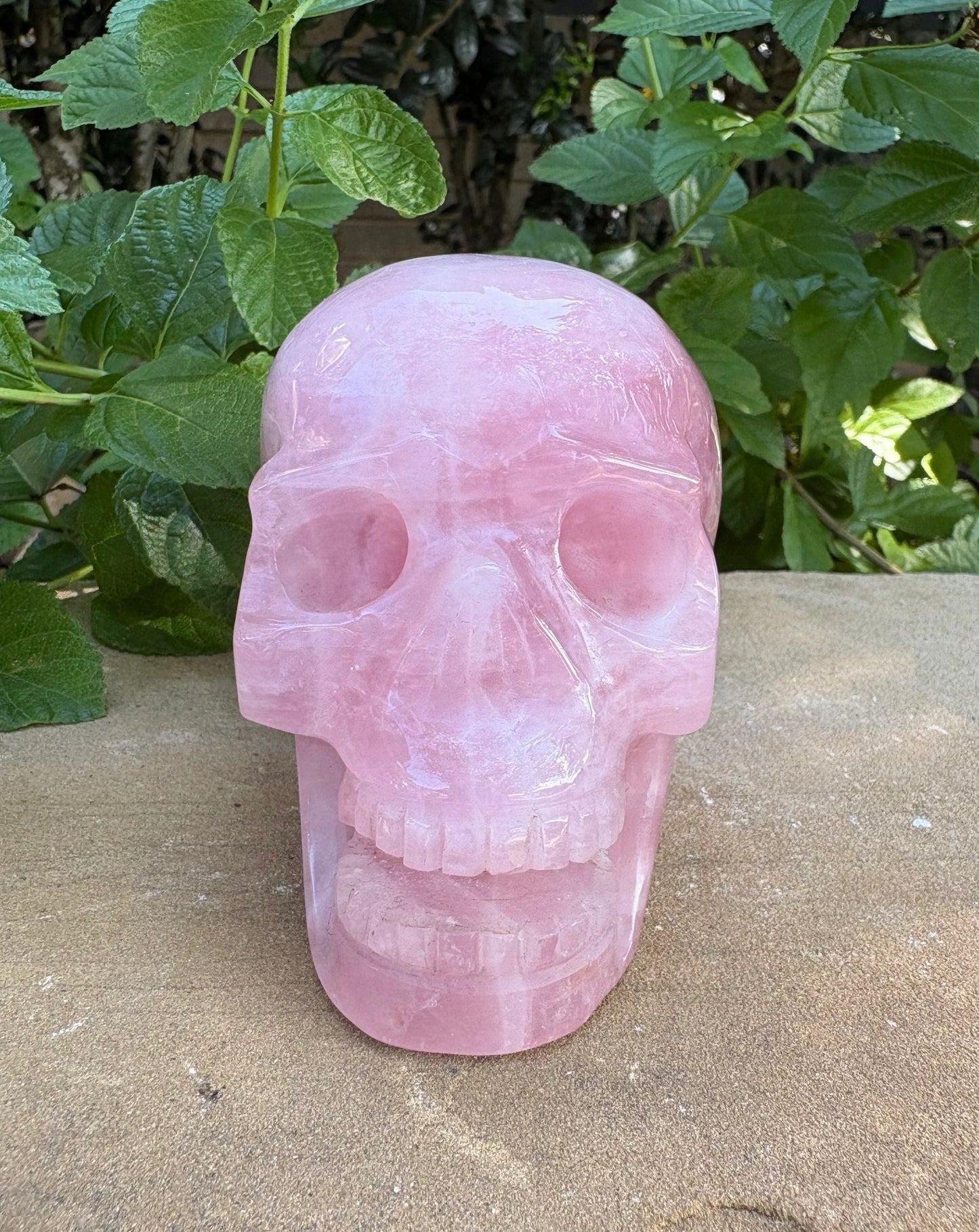 💗 2.28 lbs. Madagascar Rose Quartz Skull – Love, Compassion & Emotional Glow | Love | Harmony | Heart Sass (2)