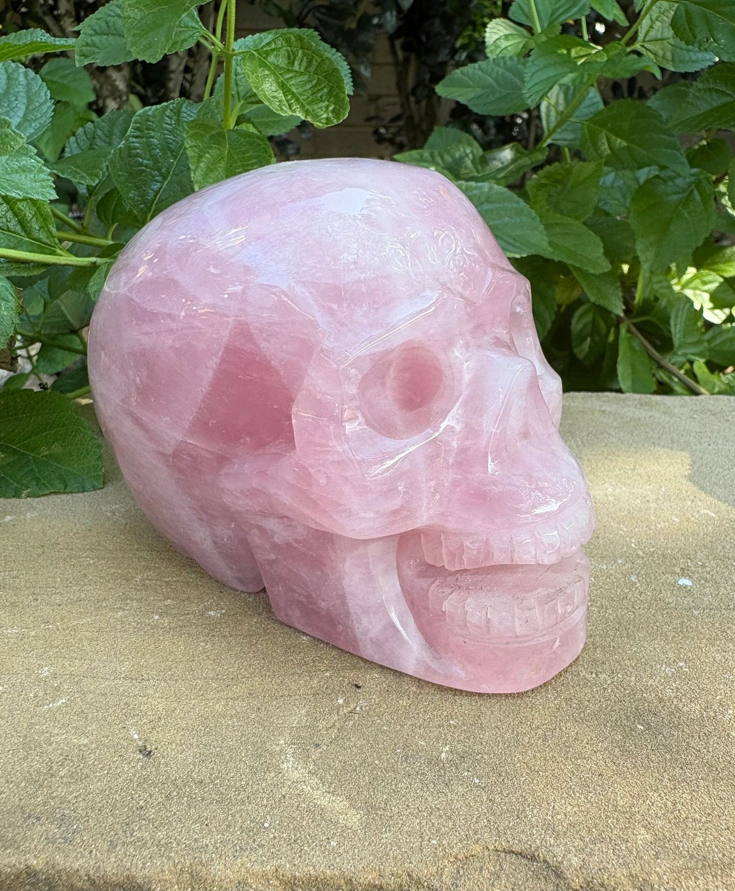 💗 2.28 lbs. Madagascar Rose Quartz Skull – Love, Compassion & Emotional Glow | Love | Harmony | Heart Sass (2)