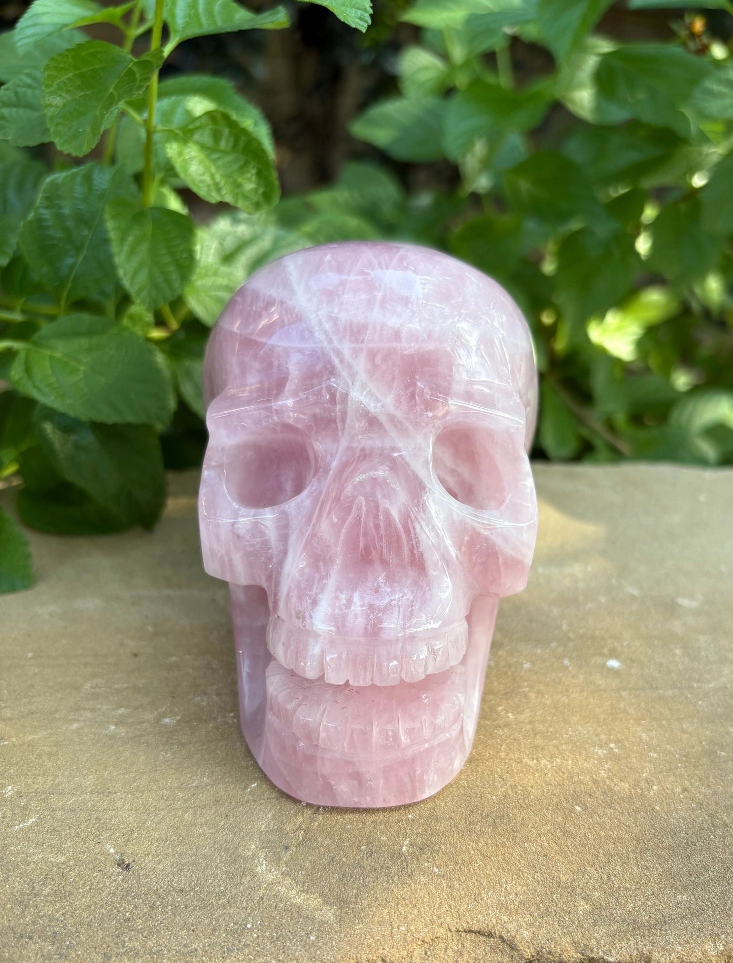 💗 2.44 lb. Madagascar Rose Quartz Skull – Love, Compassion & Cosmic Sass | 4.4"