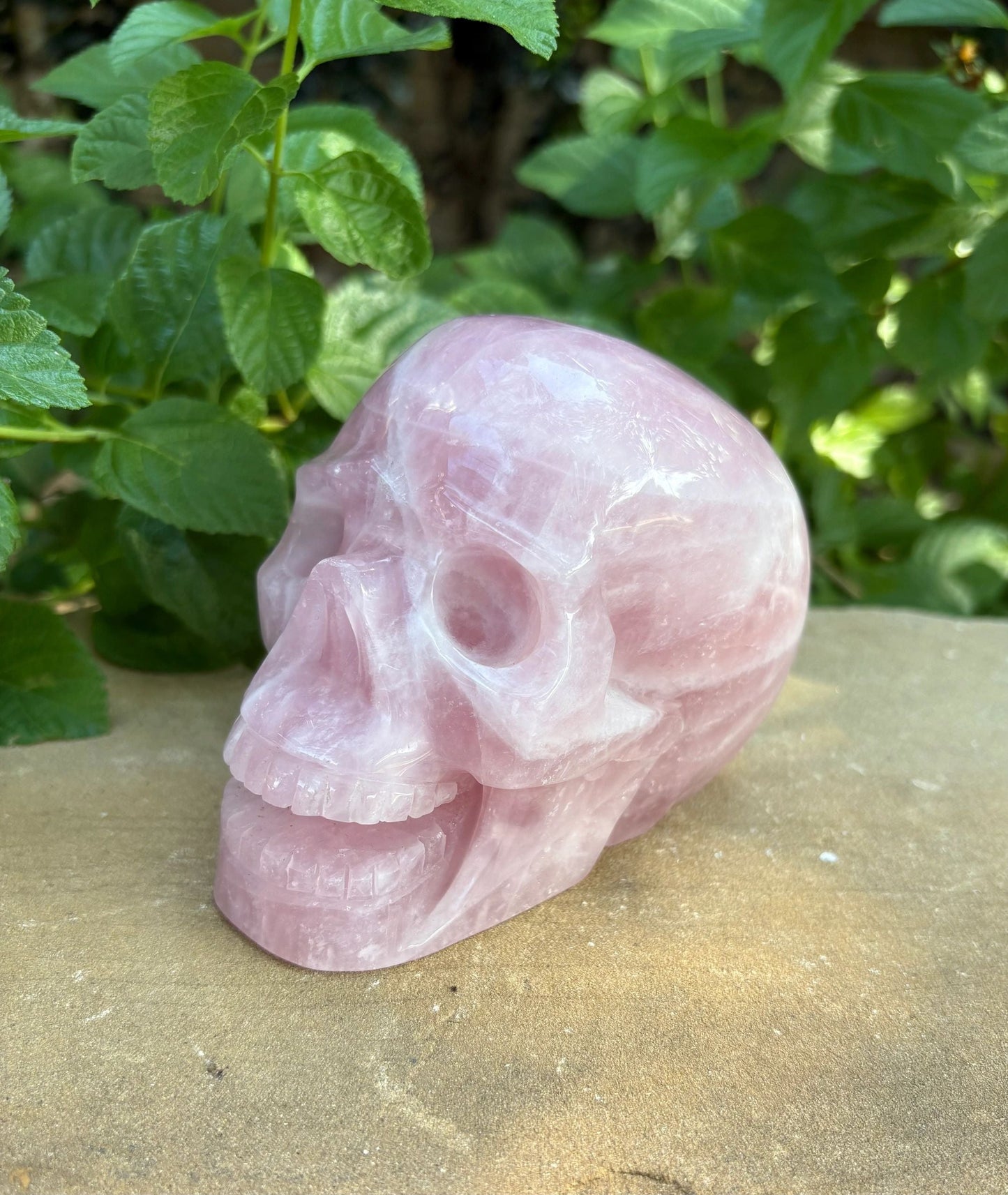 💗 2.44 lb. Madagascar Rose Quartz Skull – Love, Compassion & Cosmic Sass | 4.4"