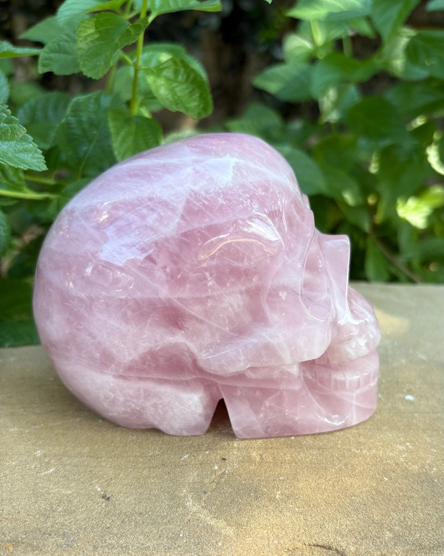 💗 2.44 lb. Madagascar Rose Quartz Skull – Love, Compassion & Cosmic Sass | 4.4"