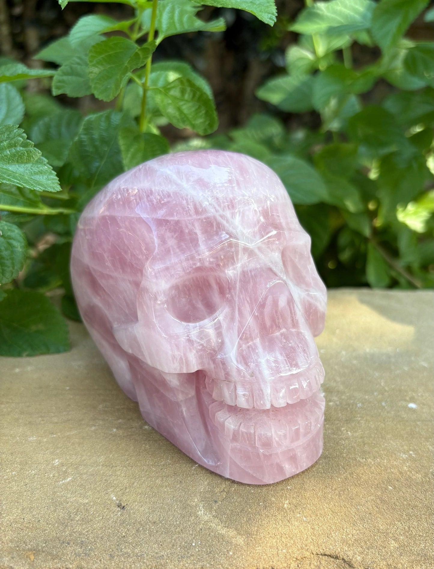 💗 2.44 lb. Madagascar Rose Quartz Skull – Love, Compassion & Cosmic Sass | 4.4"