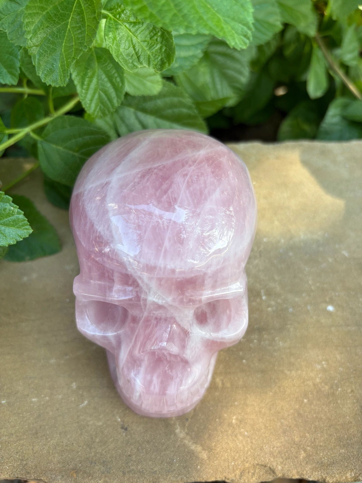💗 2.44 lb. Madagascar Rose Quartz Skull – Love, Compassion & Cosmic Sass | 4.4"