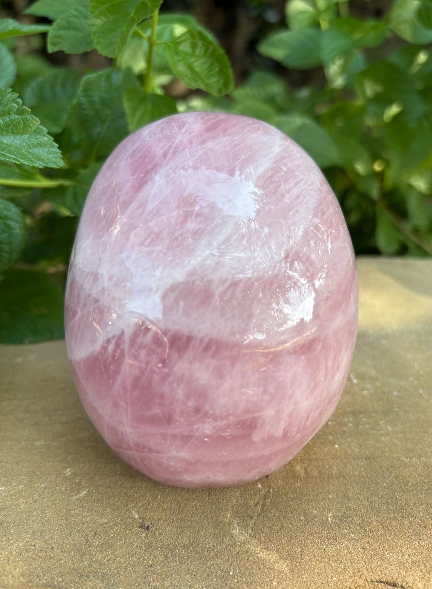 💗 2.44 lb. Madagascar Rose Quartz Skull – Love, Compassion & Cosmic Sass | 4.4"