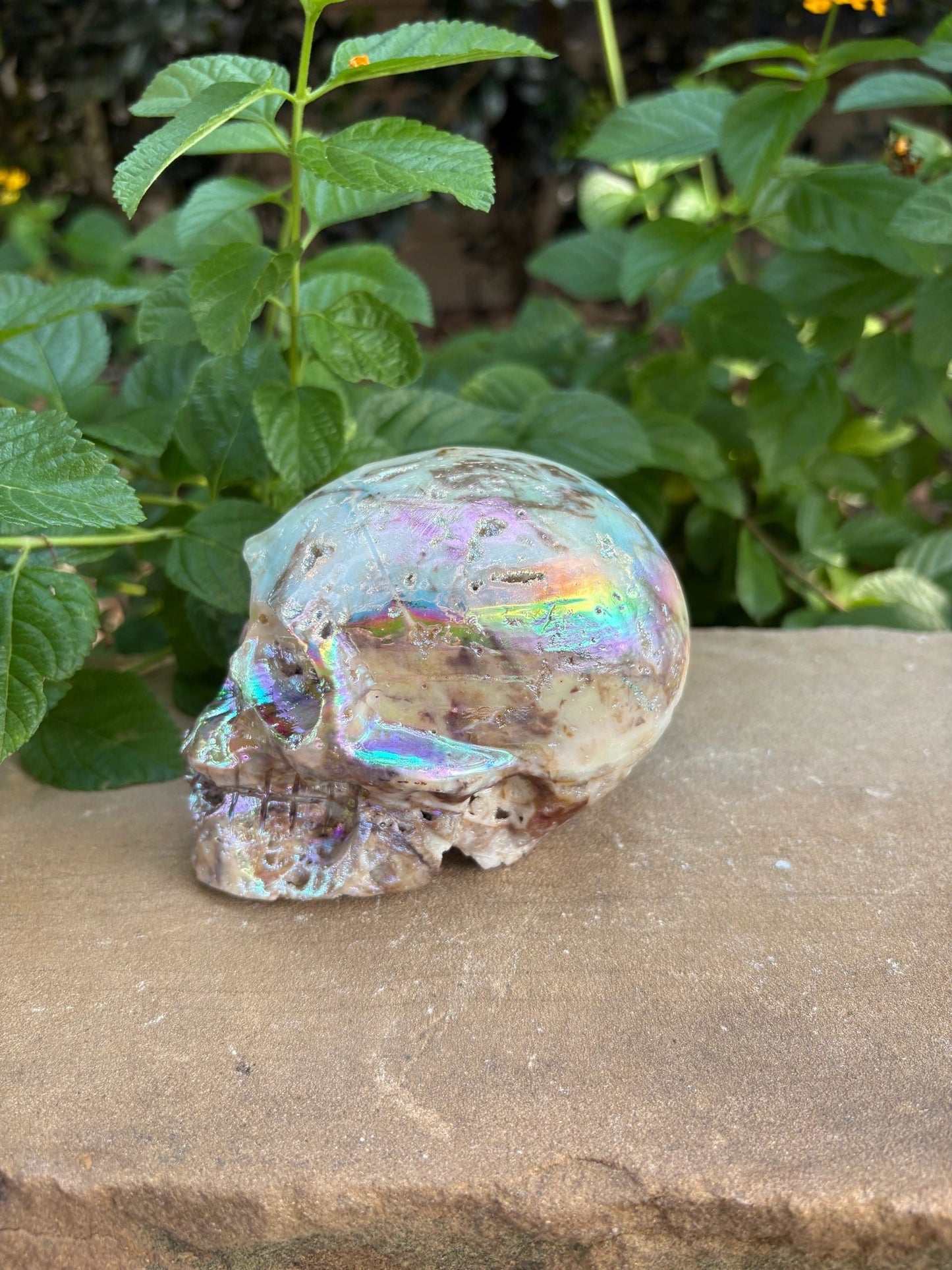 🌈 Titanium Aura Skull with Cavern Grin – Transformation, Protection & Shield| 2.01 lbs.