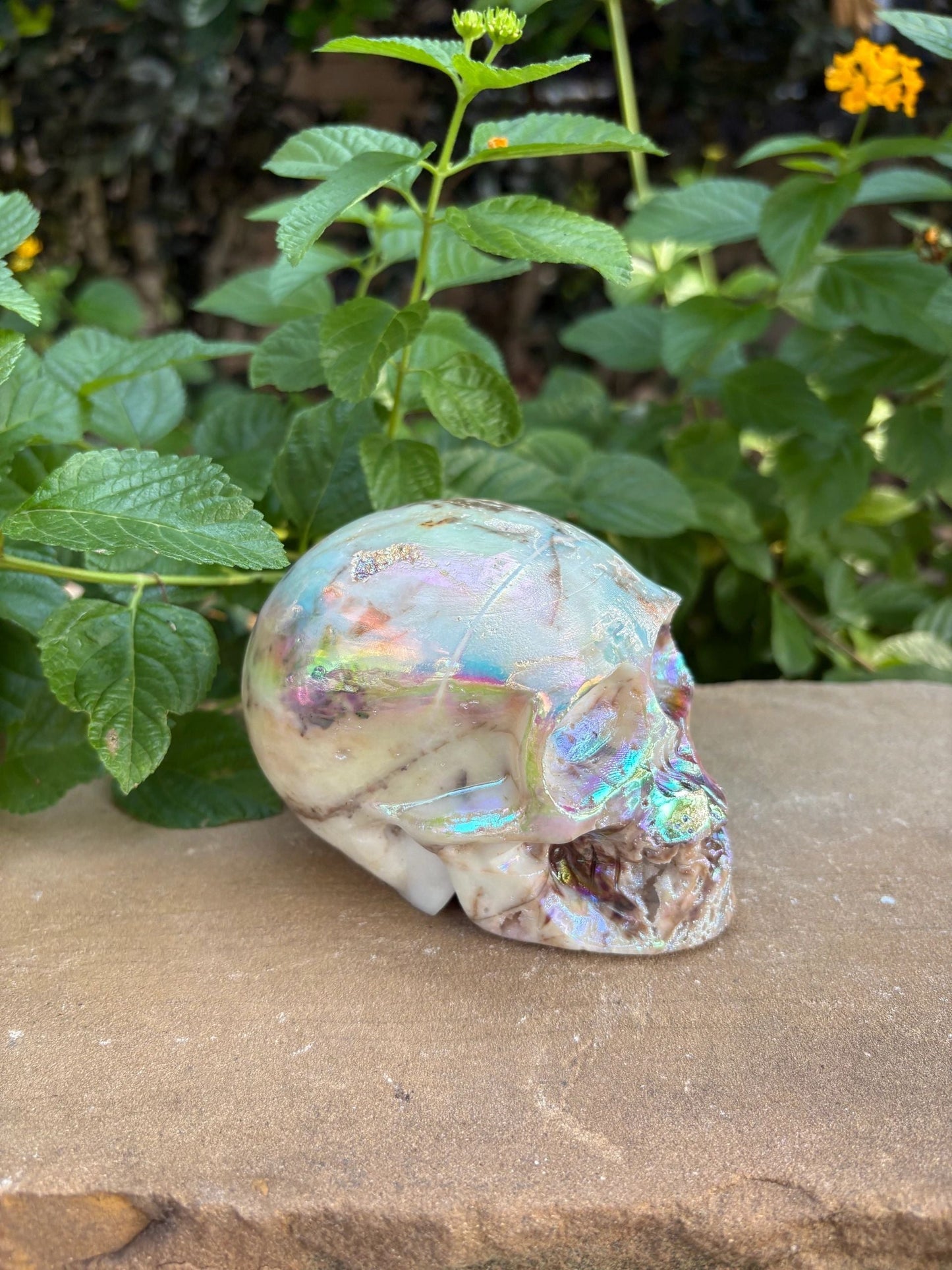 🌈 Titanium Aura Skull with Cavern Grin – Transformation, Protection & Shield| 2.01 lbs.