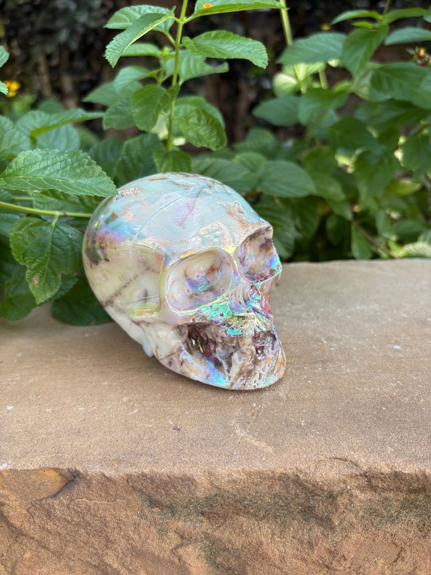 🌈 Titanium Aura Skull with Cavern Grin – Transformation, Protection & Shield| 2.01 lbs.