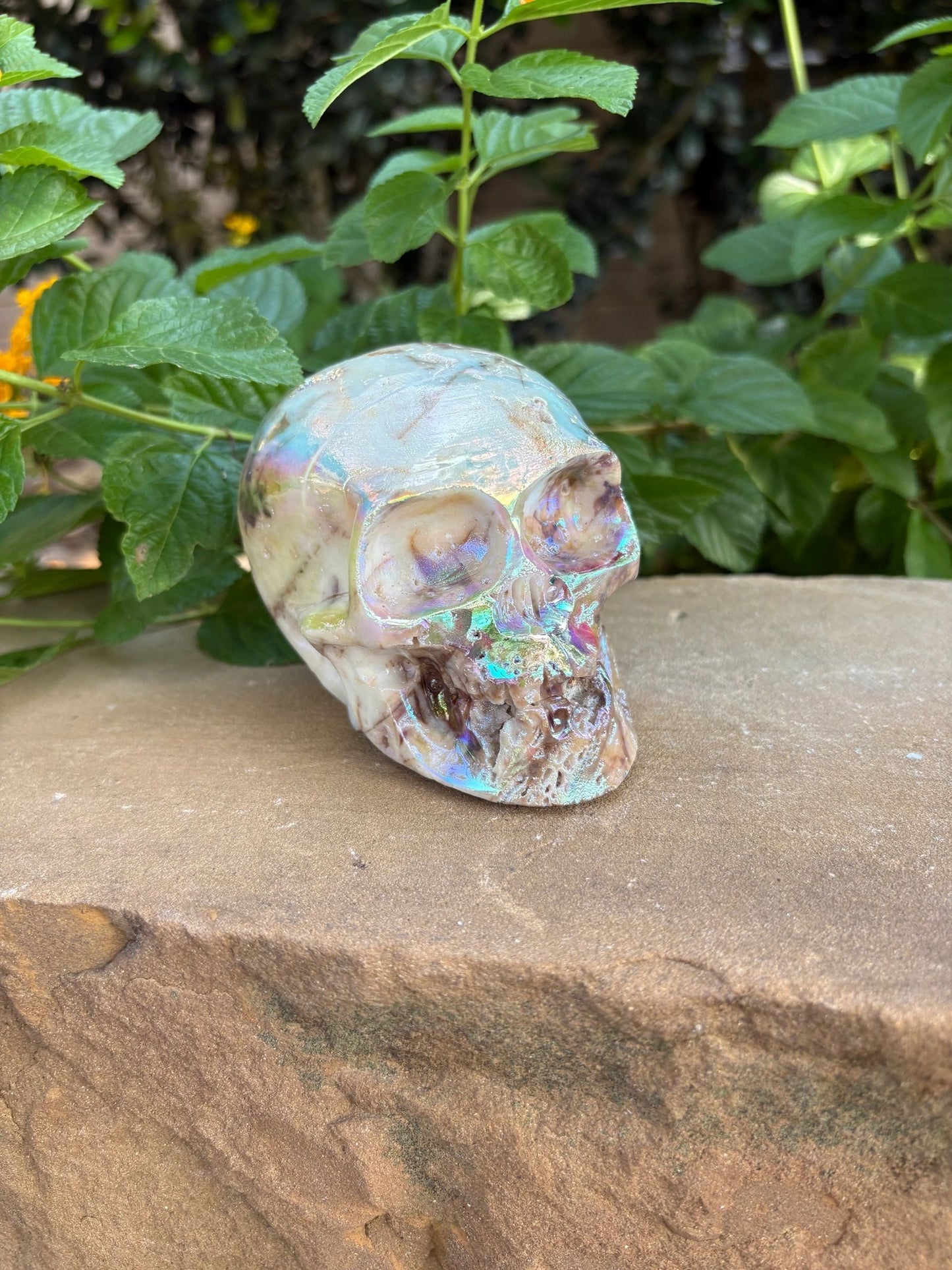 🌈 Titanium Aura Skull with Cavern Grin – Transformation, Protection & Shield| 2.01 lbs.