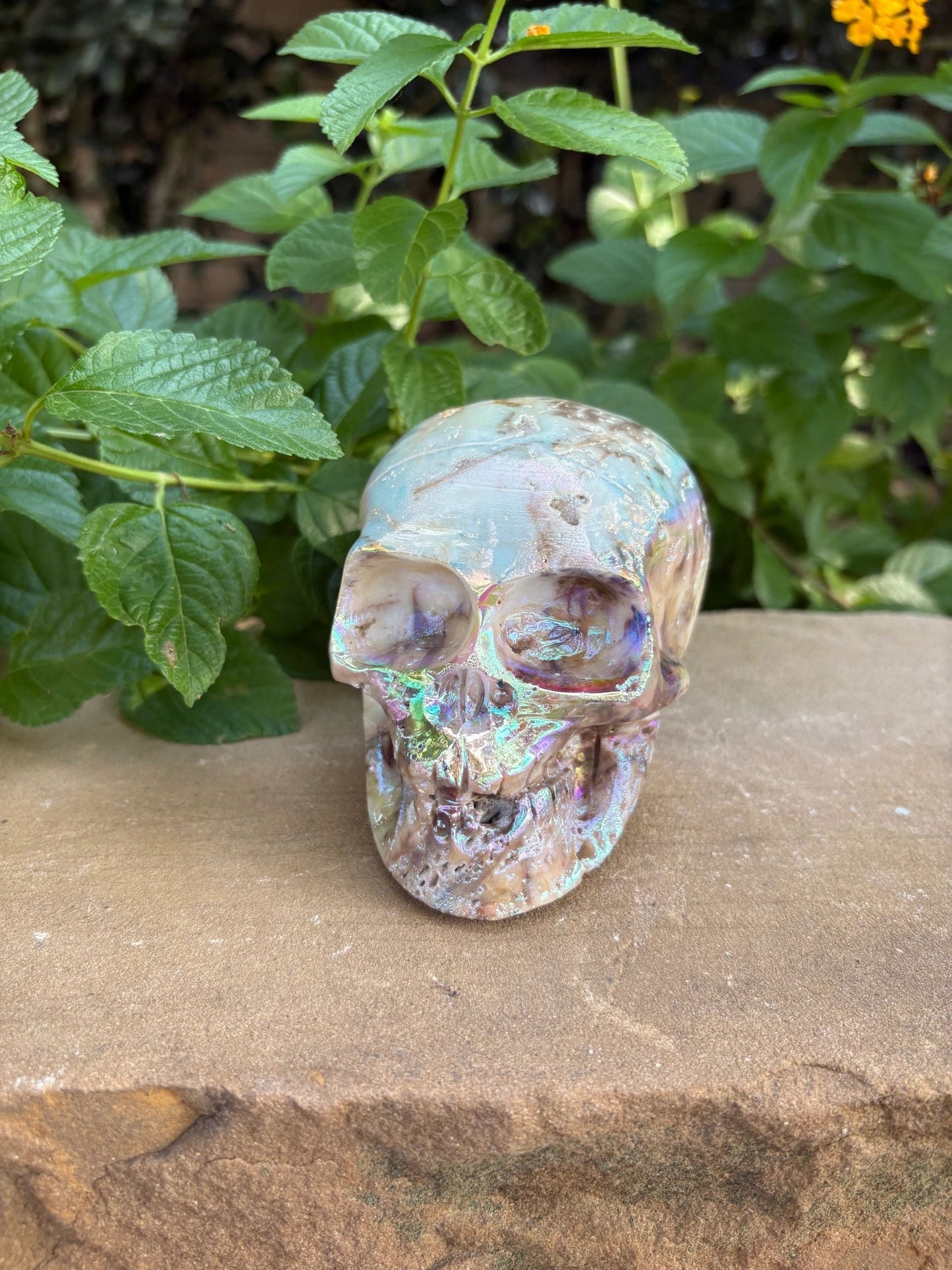 🌈 Titanium Aura Skull with Cavern Grin – Transformation, Protection & Shield| 2.01 lbs.