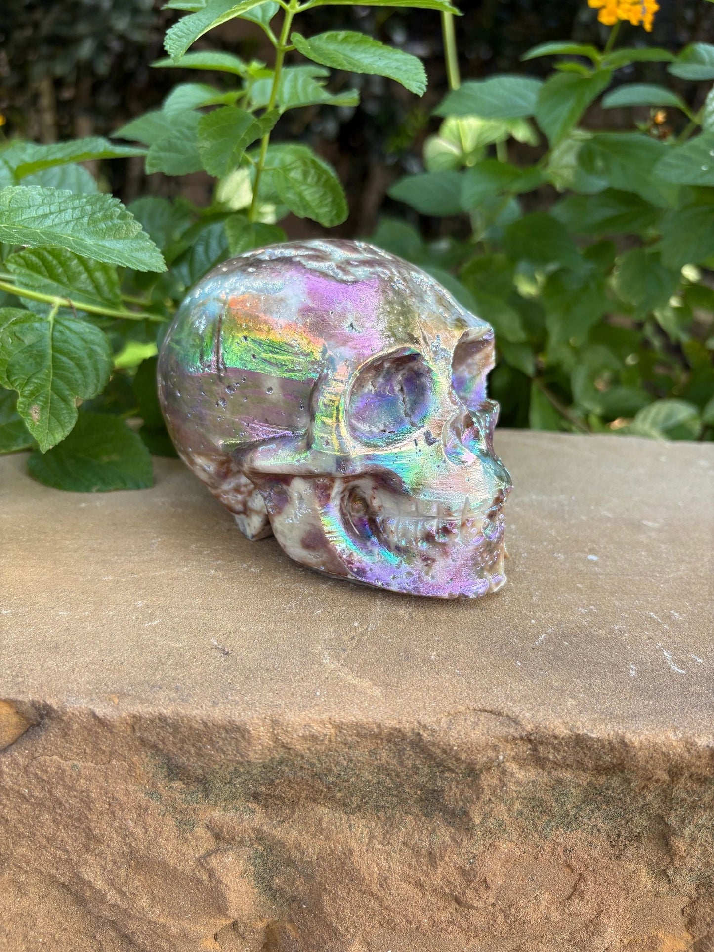 🌈 Titanium Aura Druzy Skull – Transformation, Protection & Power | 2.15 lbs