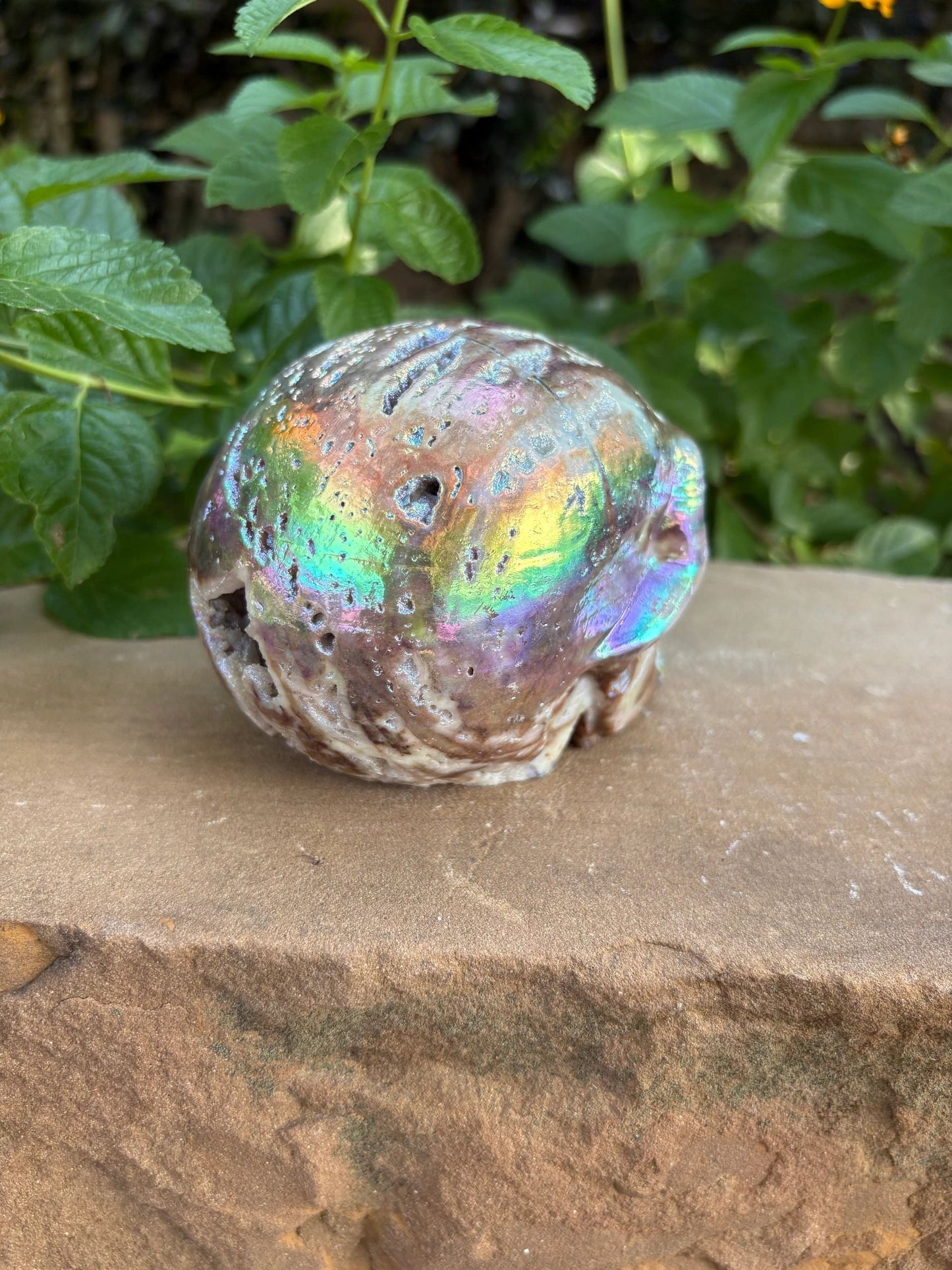 🌈 Titanium Aura Druzy Skull – Transformation, Protection & Power | 2.15 lbs