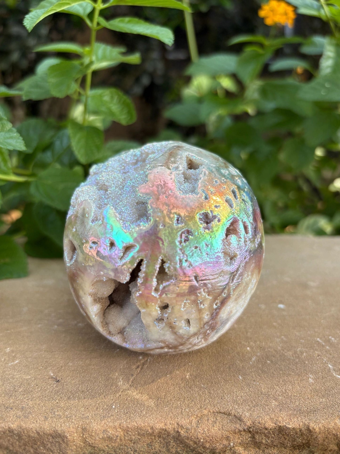 🌈 Titanium Aura Druzy Skull – Transformation, Protection & Rainbow Brain Power | 1.84 lbs.