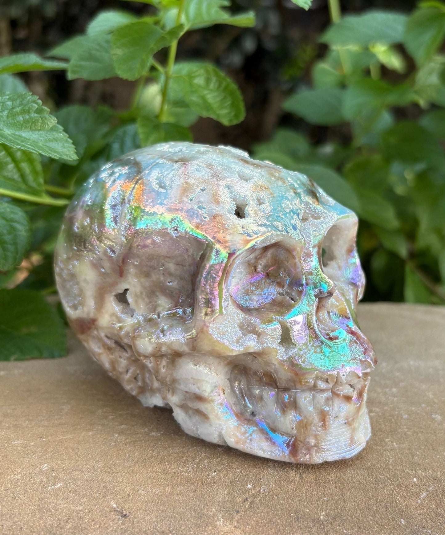 🌈 Titanium Aura Druzy Skull – Transformation, Protection & Rainbow Brain Power | 1.84 lbs.