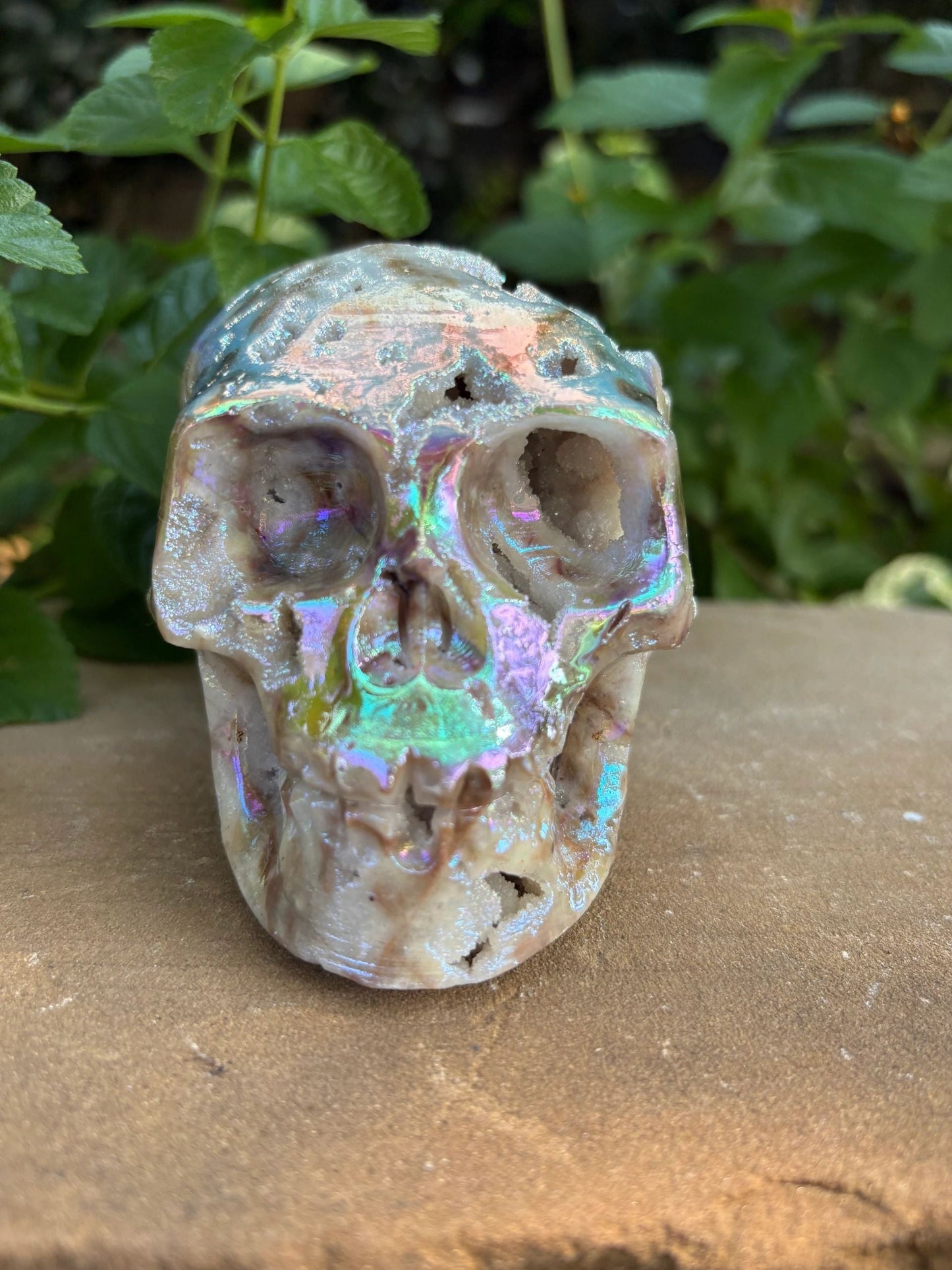 🌈 Titanium Aura Druzy Skull – Transformation, Protection & Rainbow Brain Power | 1.84 lbs.