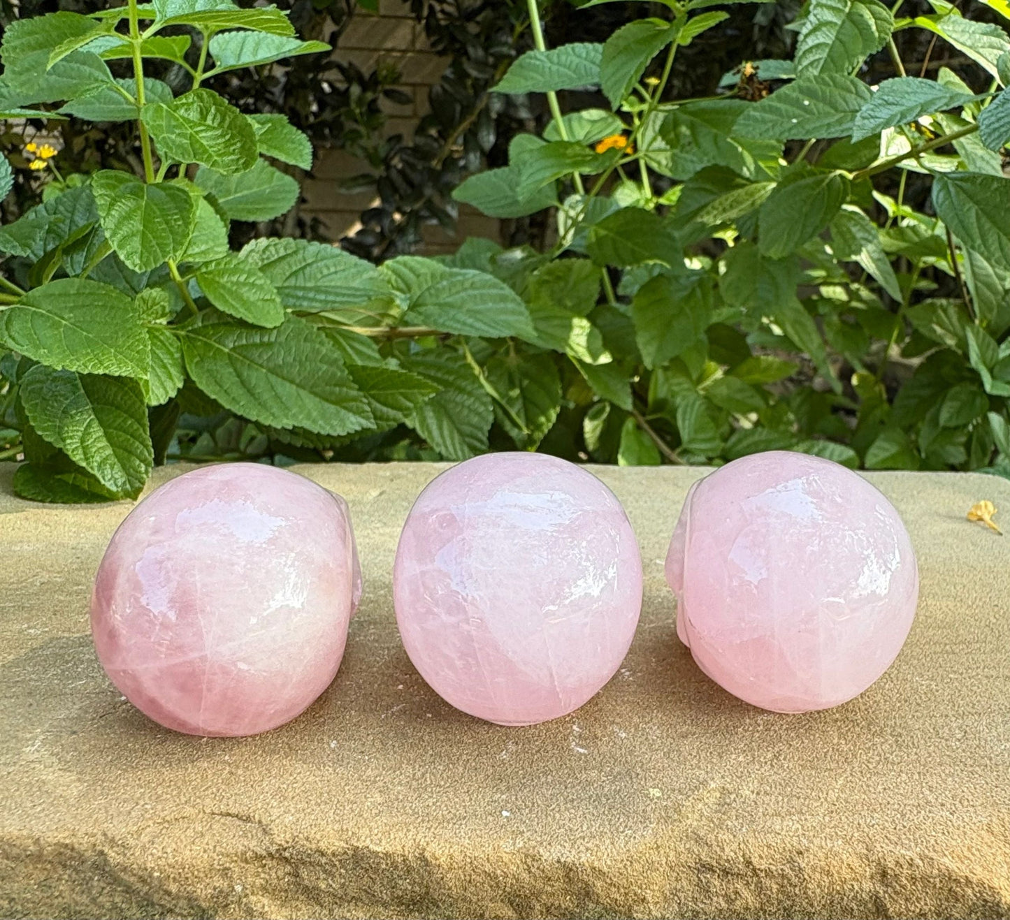 💗 Rose Quartz Crystal Skull – Love, Compassion & Emotional Healing