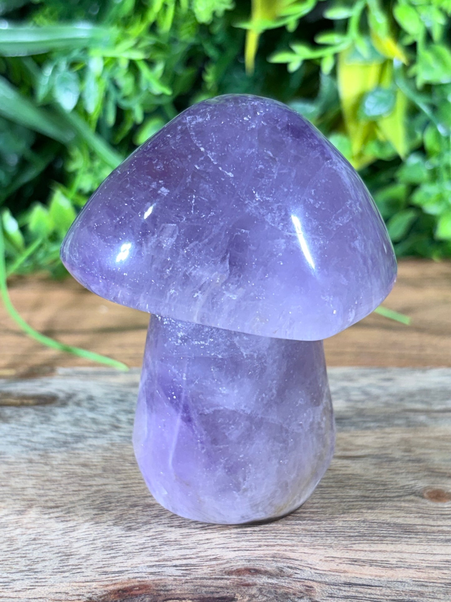Amethyst Mushroom Calm • Intuition • Spiritual Awareness