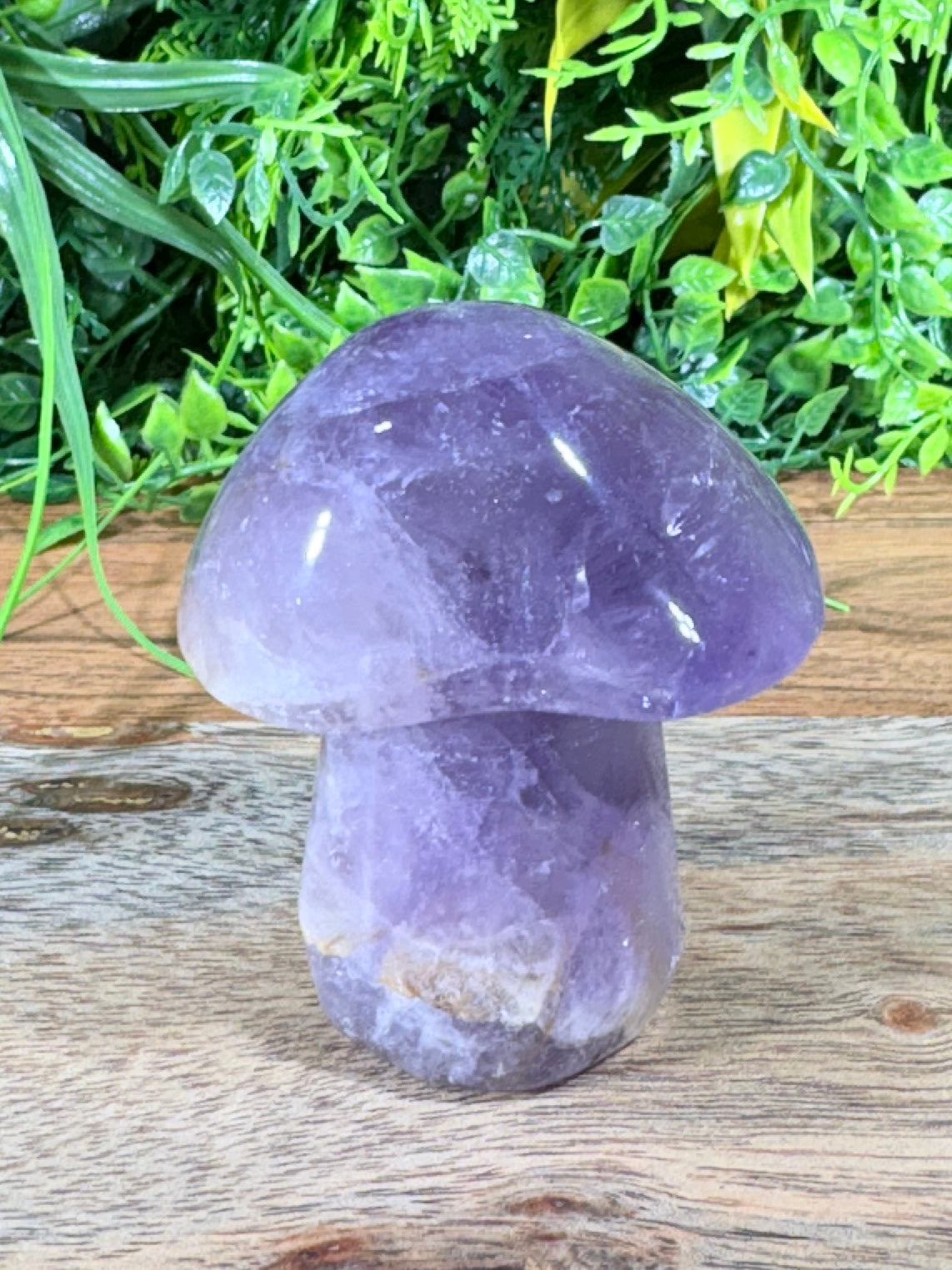 Amethyst Mushroom Calm • Intuition • Spiritual Awareness