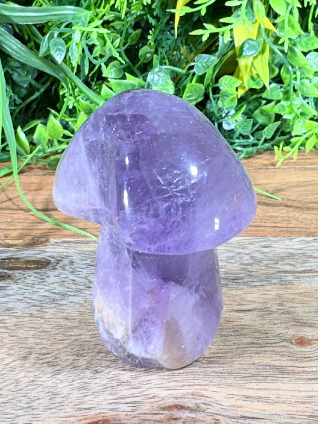 Amethyst Mushroom Calm • Intuition • Spiritual Awareness