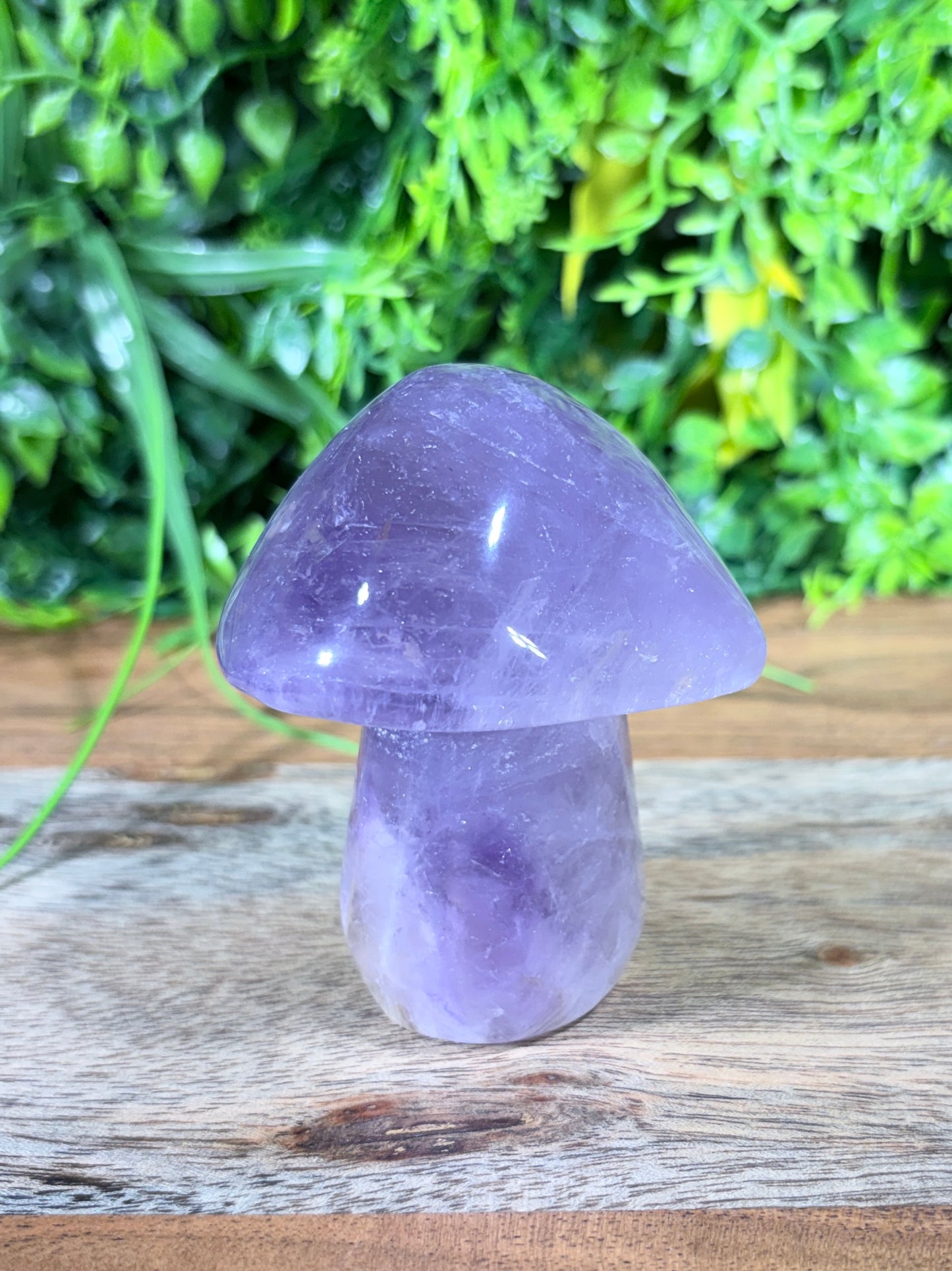 Amethyst Mushroom Calm • Intuition • Spiritual Awareness