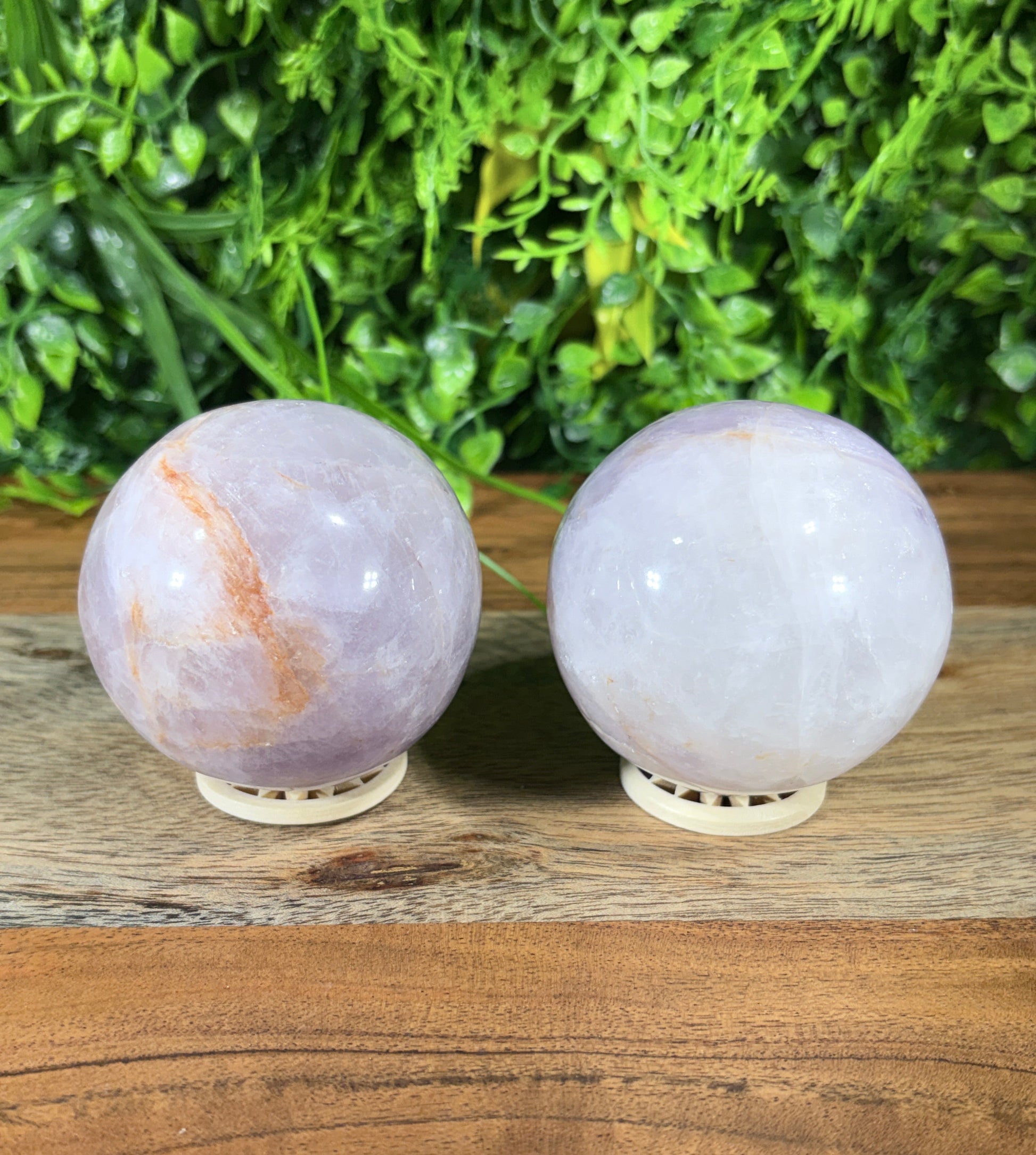 Two round pale lavender crystal spheres mounted on a wooden surface next to green foliage.