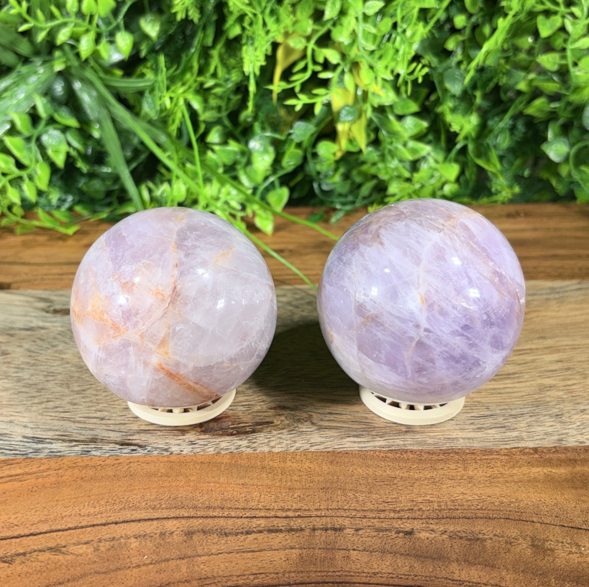 Two round lavender quartz crystal spheres with natural white and light orange veining, displayed on a wooden stand next to a green leafy wall.