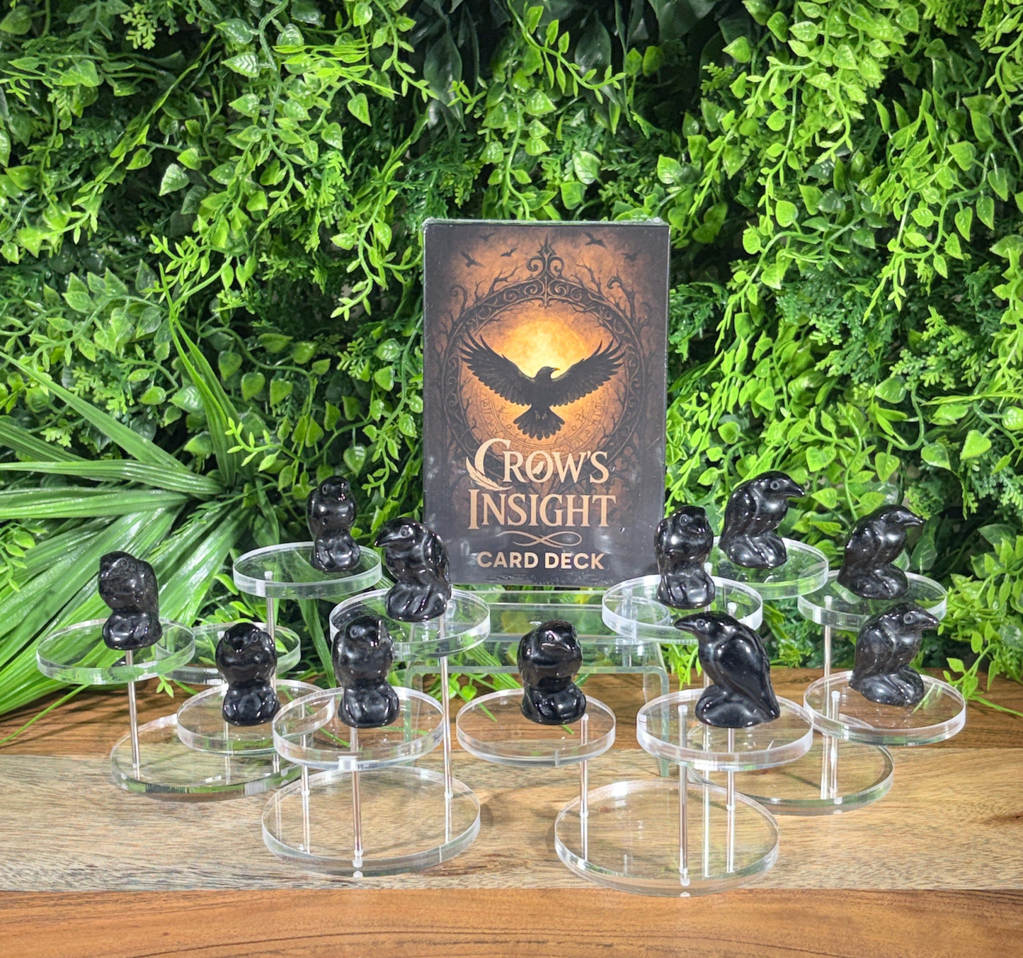 Crow's Insight 130 Deck card game set displayed on a wooden surface next to a green foliage wall, featuring clear acrylic stand holders with black stone pawns and the game box.