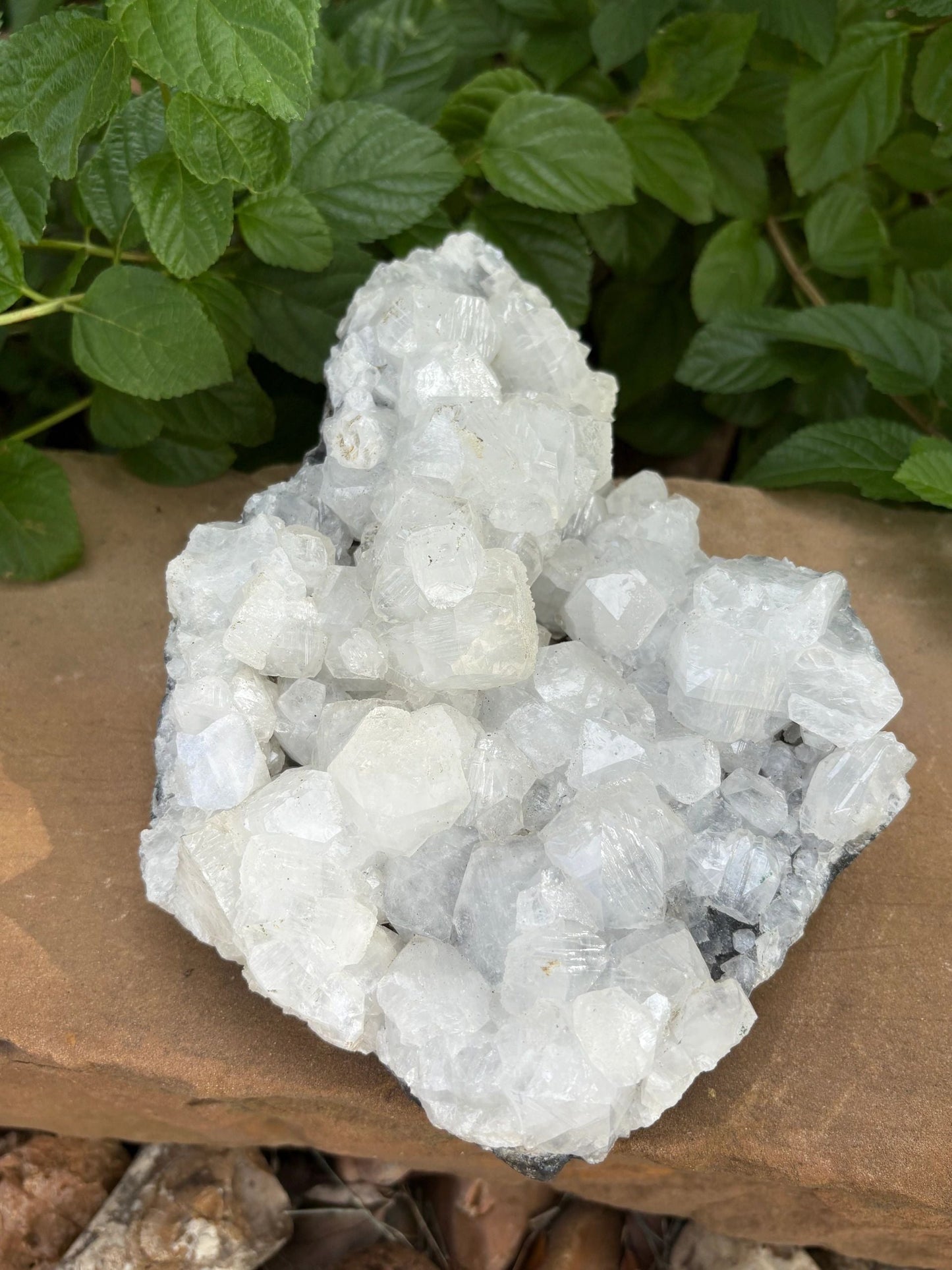 ✨ Raw White Apophyllite Mineral Specimen Cluster – Clarity, Light & Angelic Glow | 4.52 lbs. Clarity | Uplift | High-Vibe Sparkle