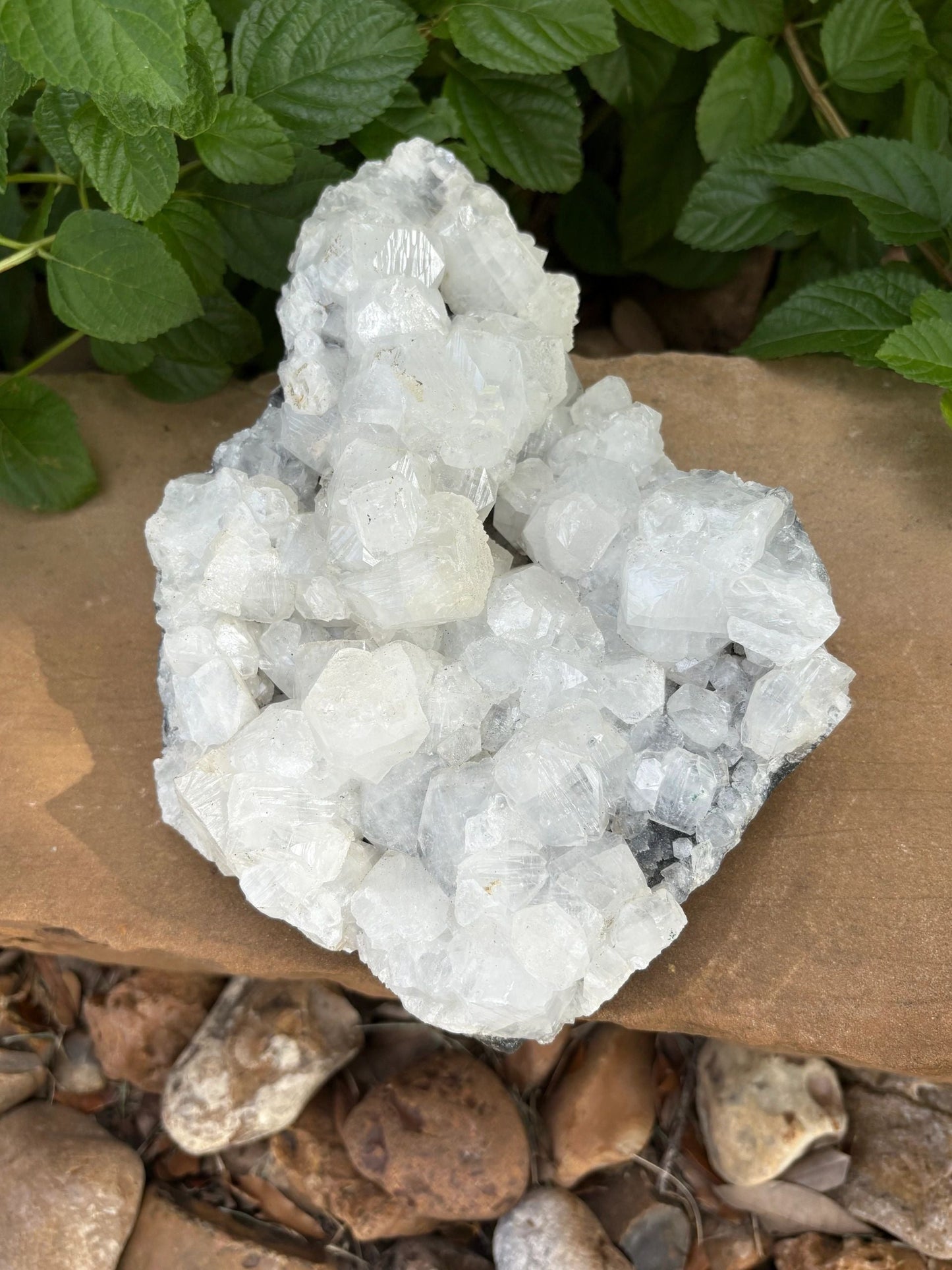 ✨ Raw White Apophyllite Mineral Specimen Cluster – Clarity, Light & Angelic Glow | 4.52 lbs. Clarity | Uplift | High-Vibe Sparkle