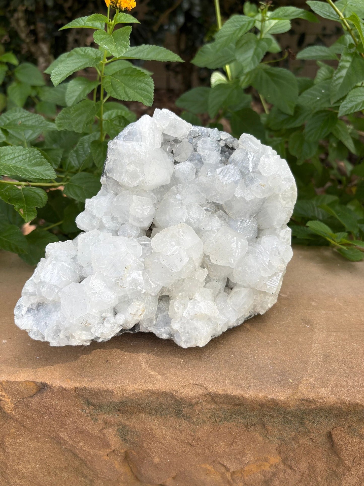 ✨ Raw White Apophyllite Mineral Specimen Cluster – Clarity, Light & Angelic Glow | 4.52 lbs. Clarity | Uplift | High-Vibe Sparkle