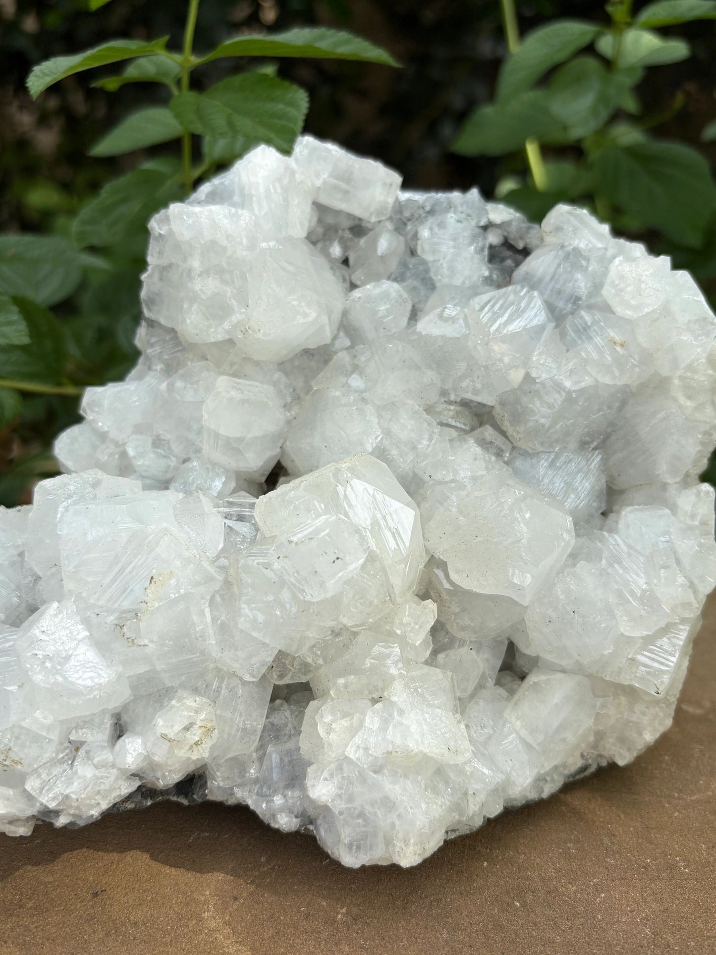 ✨ Raw White Apophyllite Mineral Specimen Cluster – Clarity, Light & Angelic Glow | 4.52 lbs. Clarity | Uplift | High-Vibe Sparkle