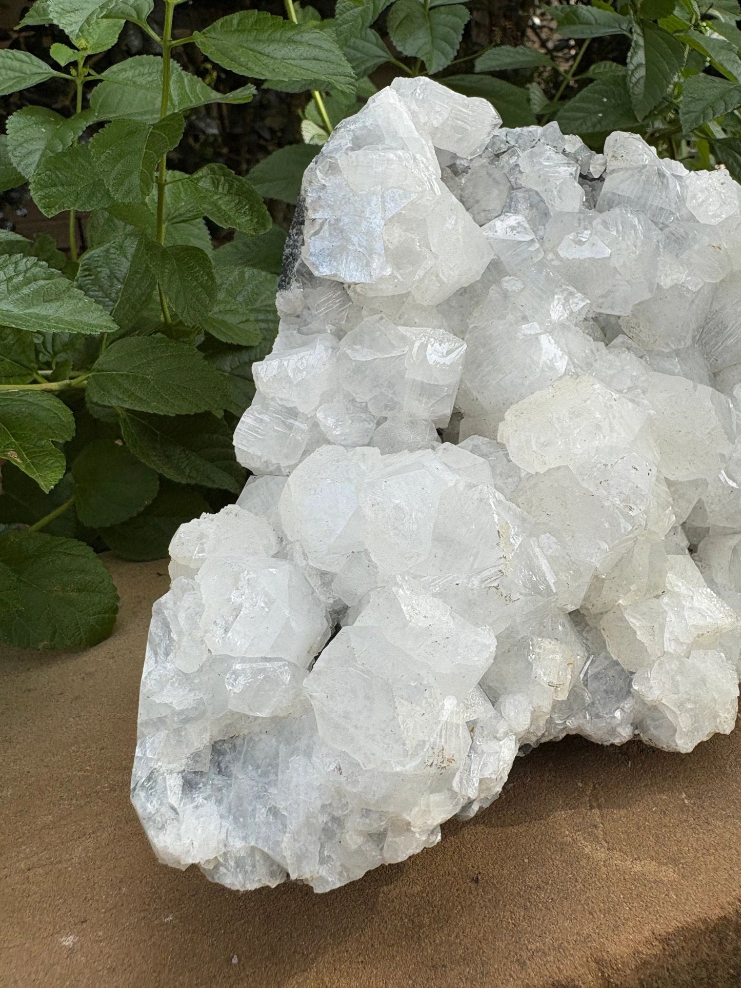 ✨ Raw White Apophyllite Mineral Specimen Cluster – Clarity, Light & Angelic Glow | 4.52 lbs. Clarity | Uplift | High-Vibe Sparkle