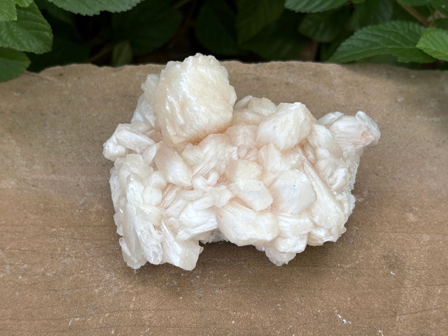 🍑 Raw Stilbite Mineral Specimen – Calm, Intuition & Cosmic Daydreams | 12.20 oz