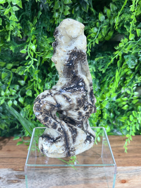 6" Picture Jasper Mermaid Grounding • Inner Wisdom • Adventure