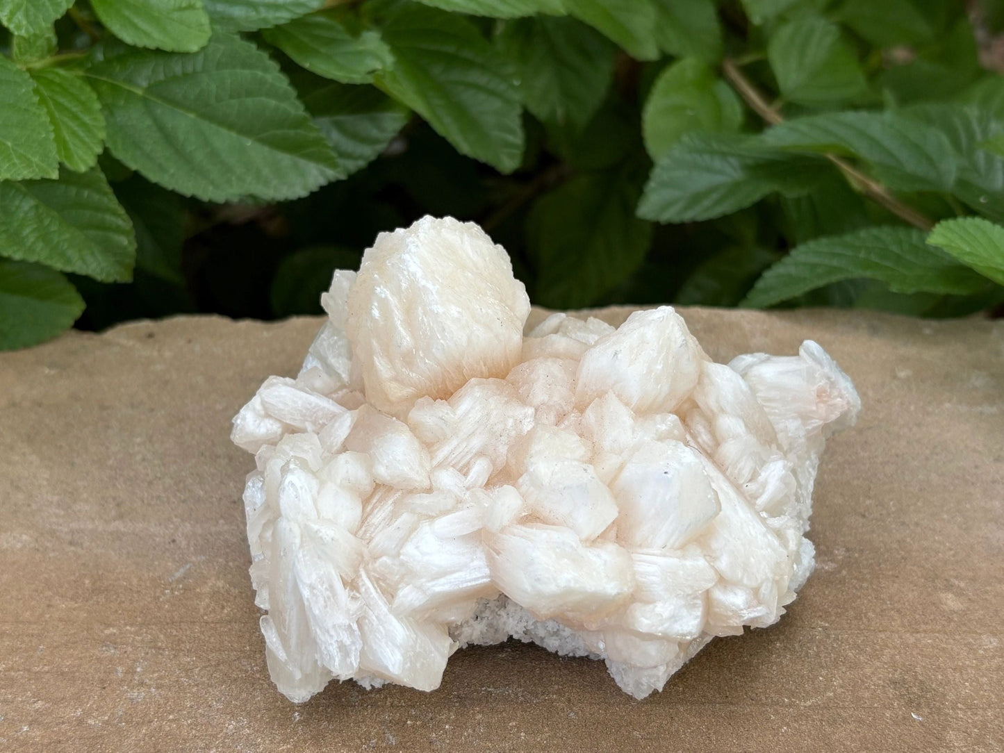 🍑 Raw Stilbite Mineral Specimen – Calm, Intuition & Cosmic Daydreams | 12.20 oz