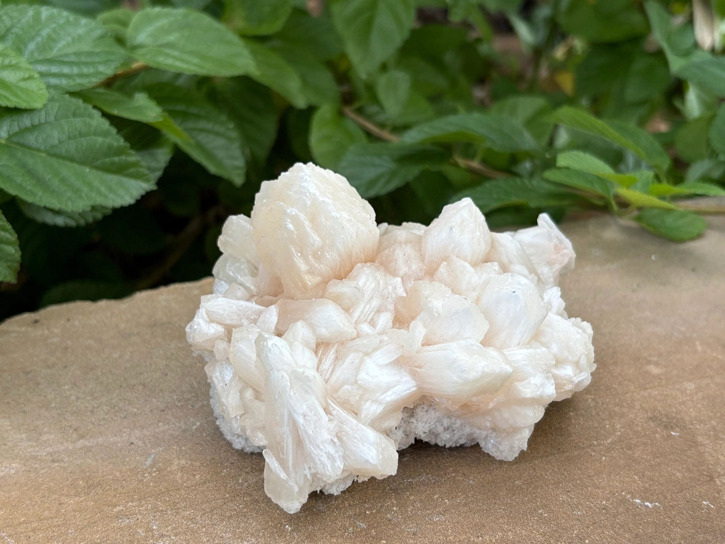 🍑 Raw Stilbite Mineral Specimen – Calm, Intuition & Cosmic Daydreams | 12.20 oz