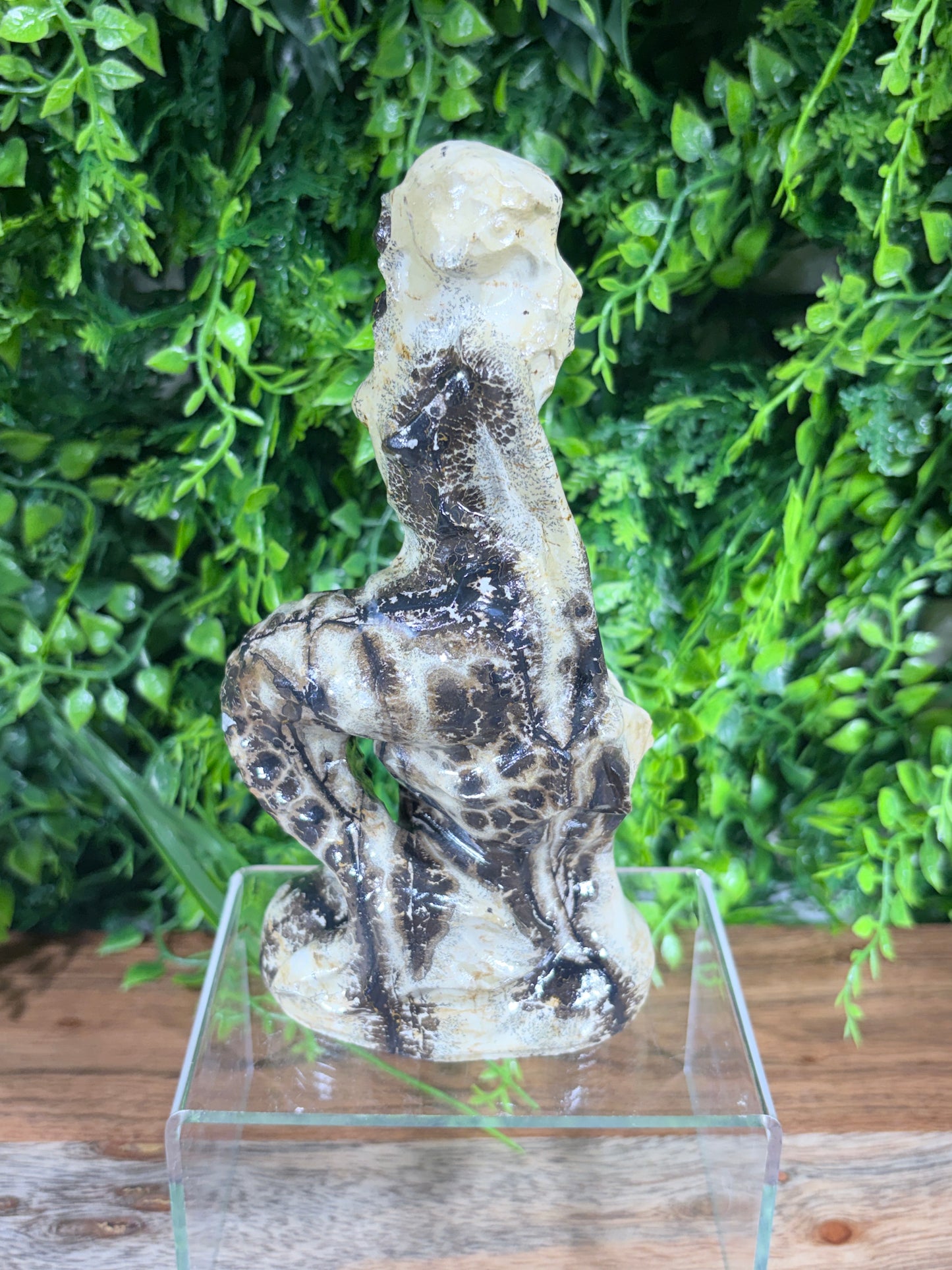 6" Picture Jasper Mermaid Grounding • Inner Wisdom • Adventure